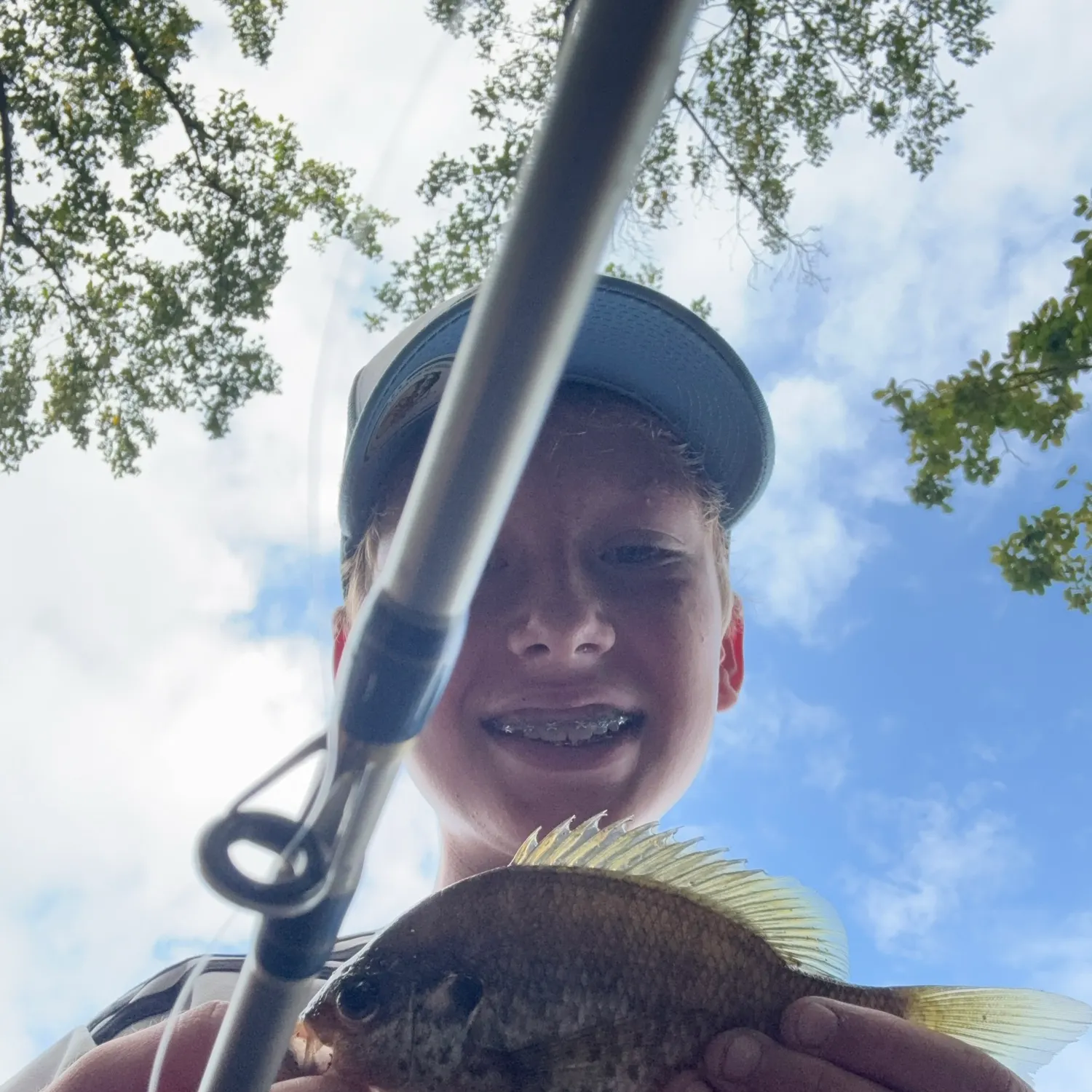 Bluegill caught on Fishbrain