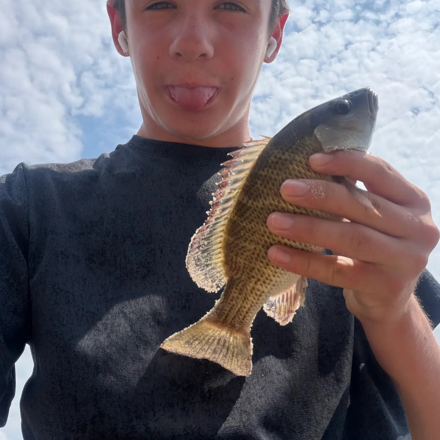 The most recent Longfin tilapia catches on Fishbrain