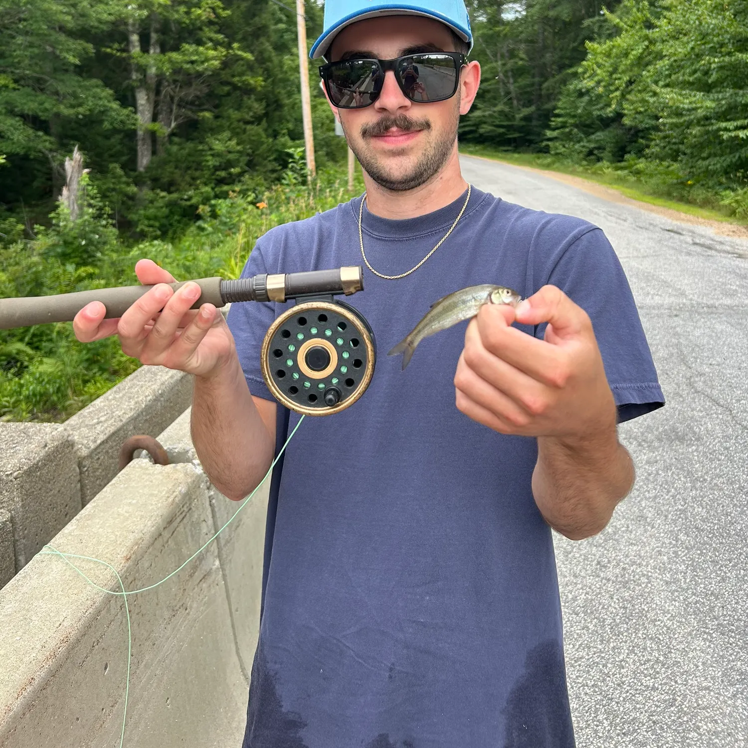 The most recent Blacknose shiner catches on Fishbrain
