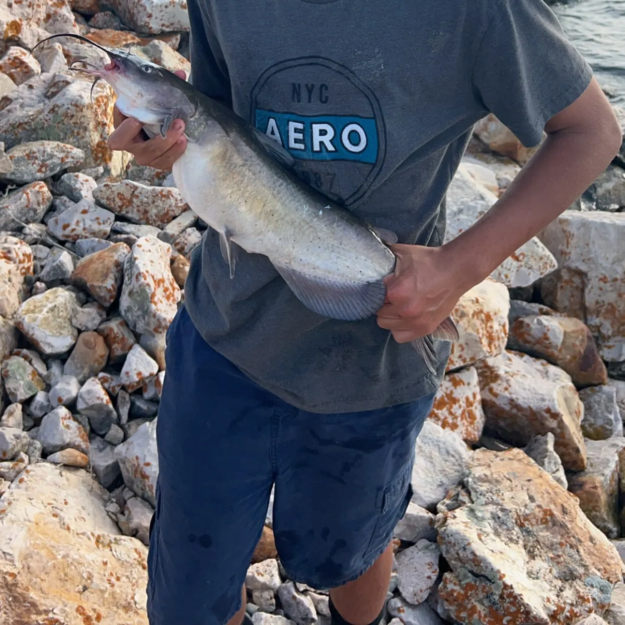 The most recent Channel catfish catches on Fishbrain