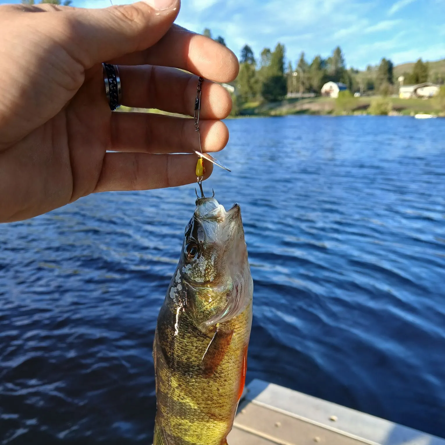 catch