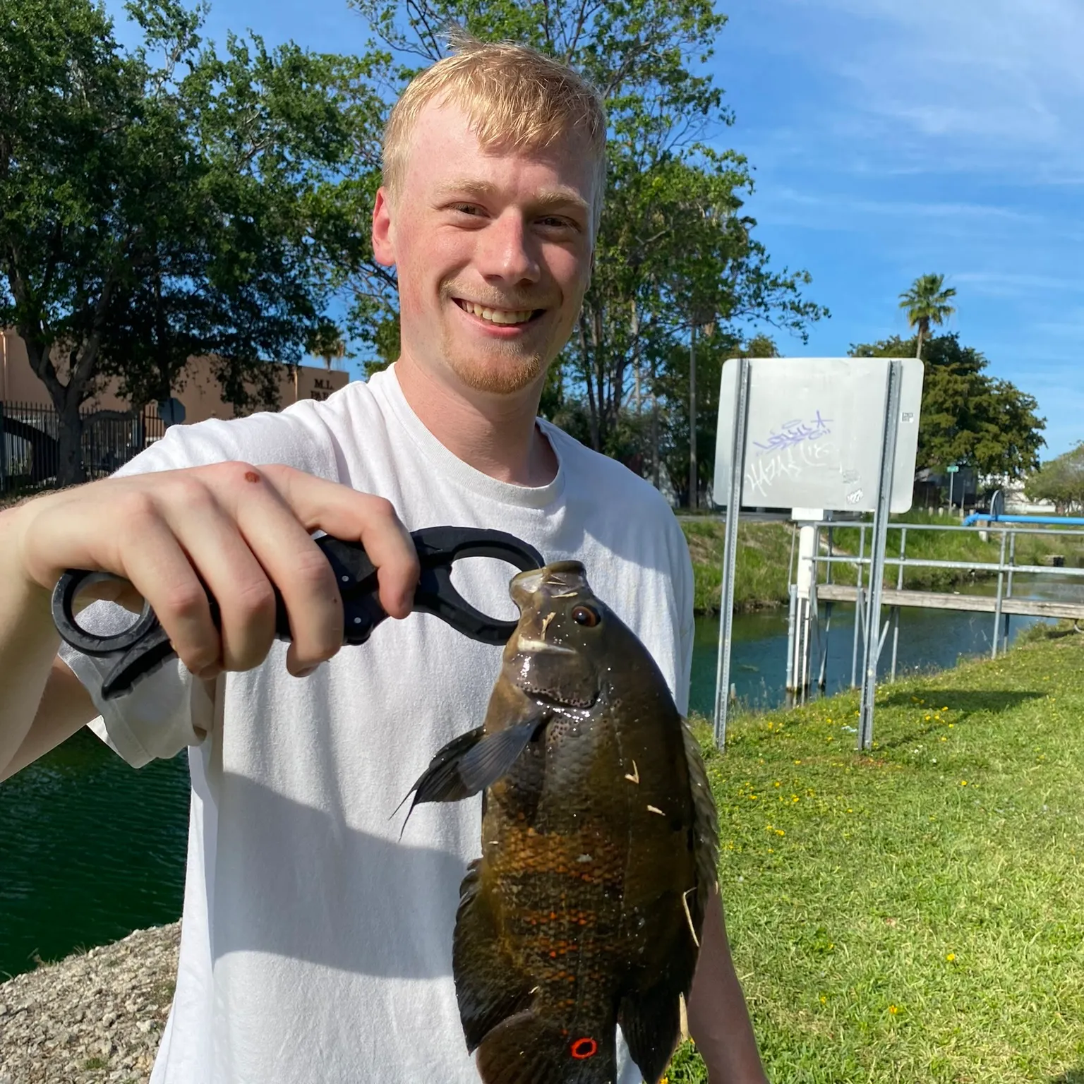 The most recent Oscar catches on Fishbrain