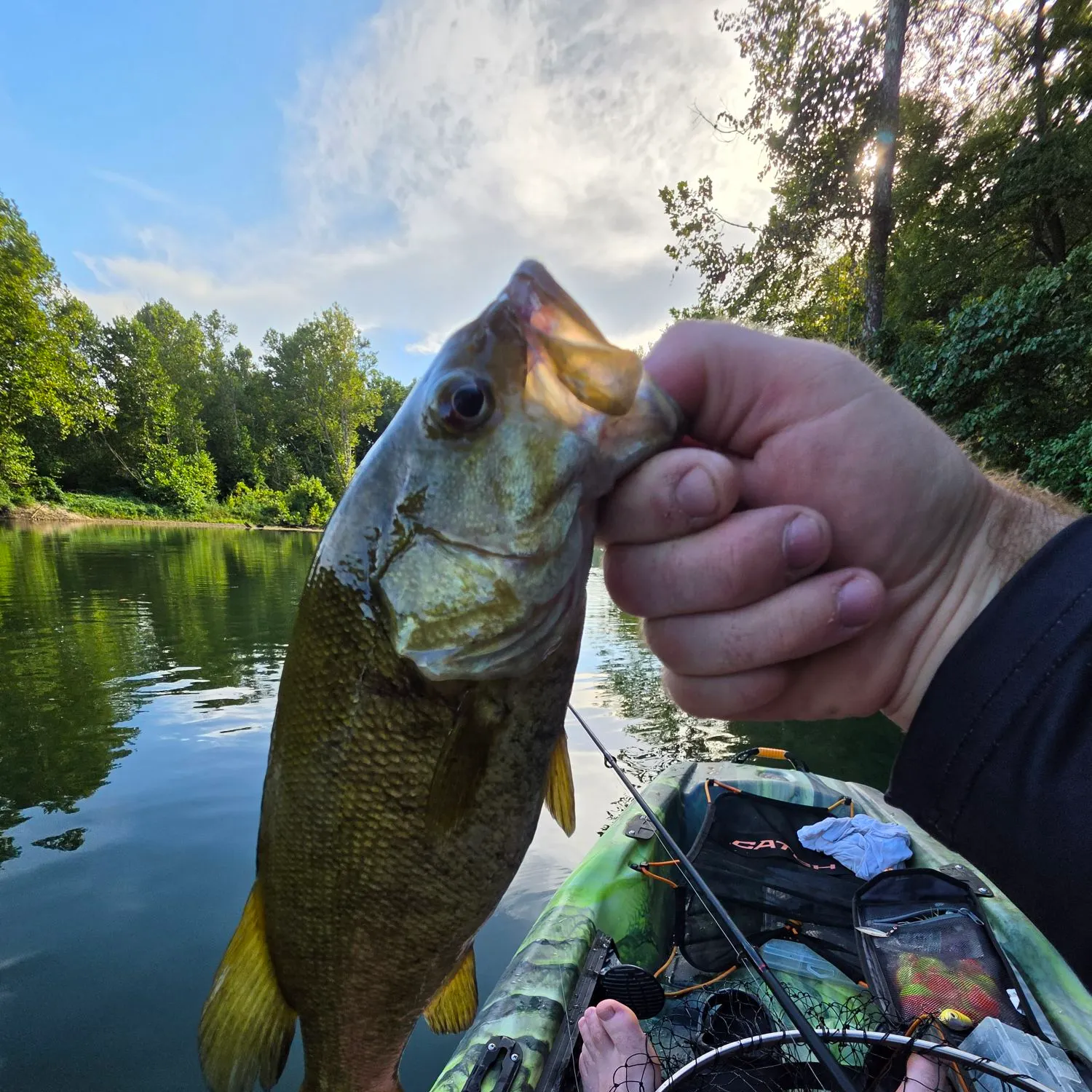 recently logged catches