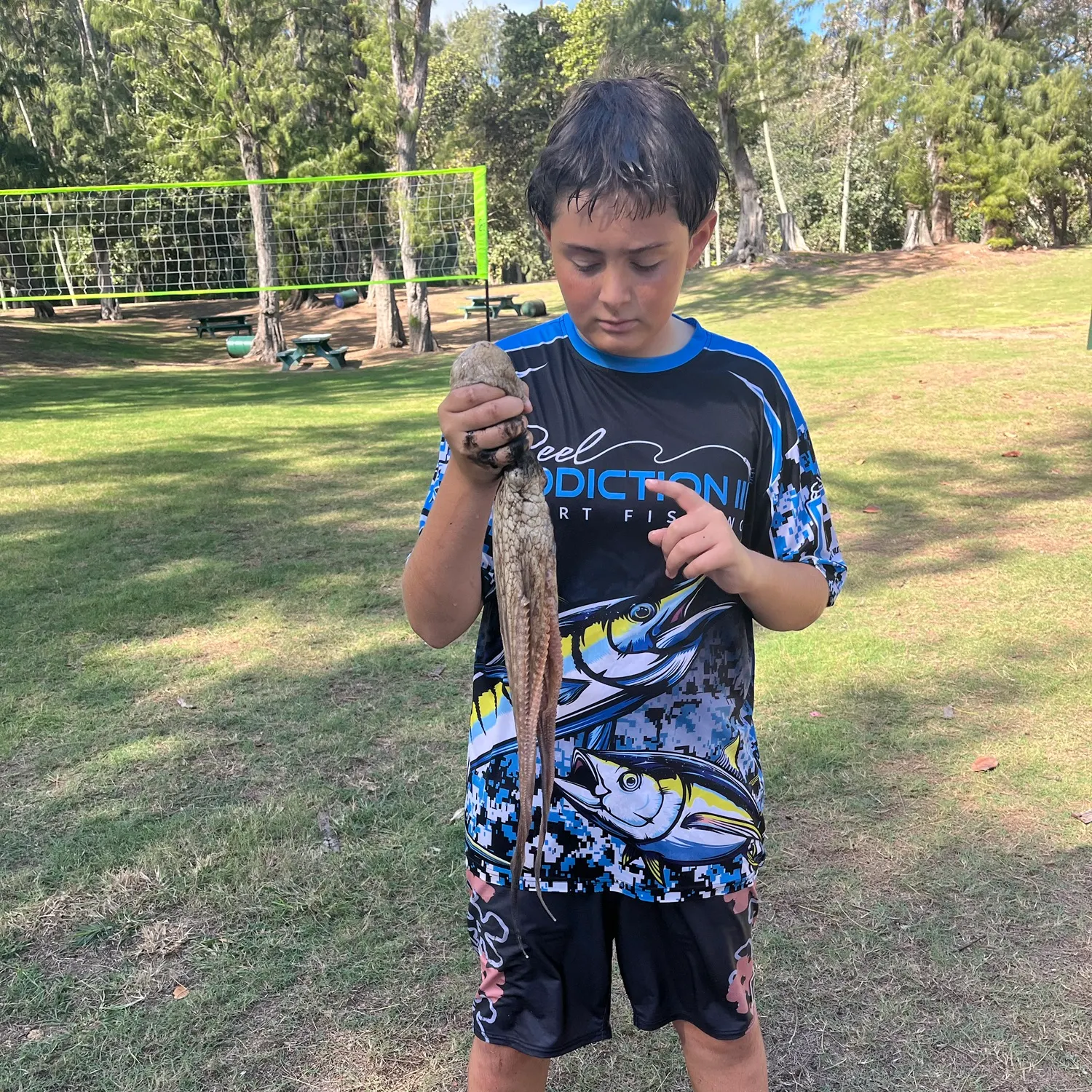 The most recent Common octopus catches on Fishbrain