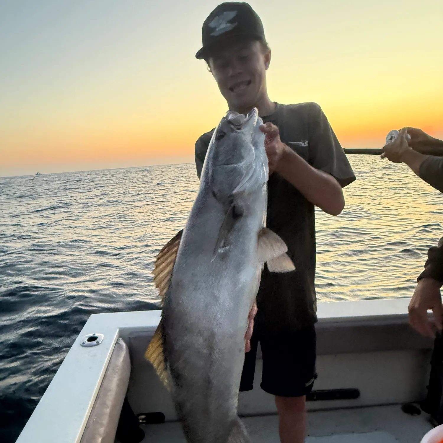 The most recent White seabass catches on Fishbrain
