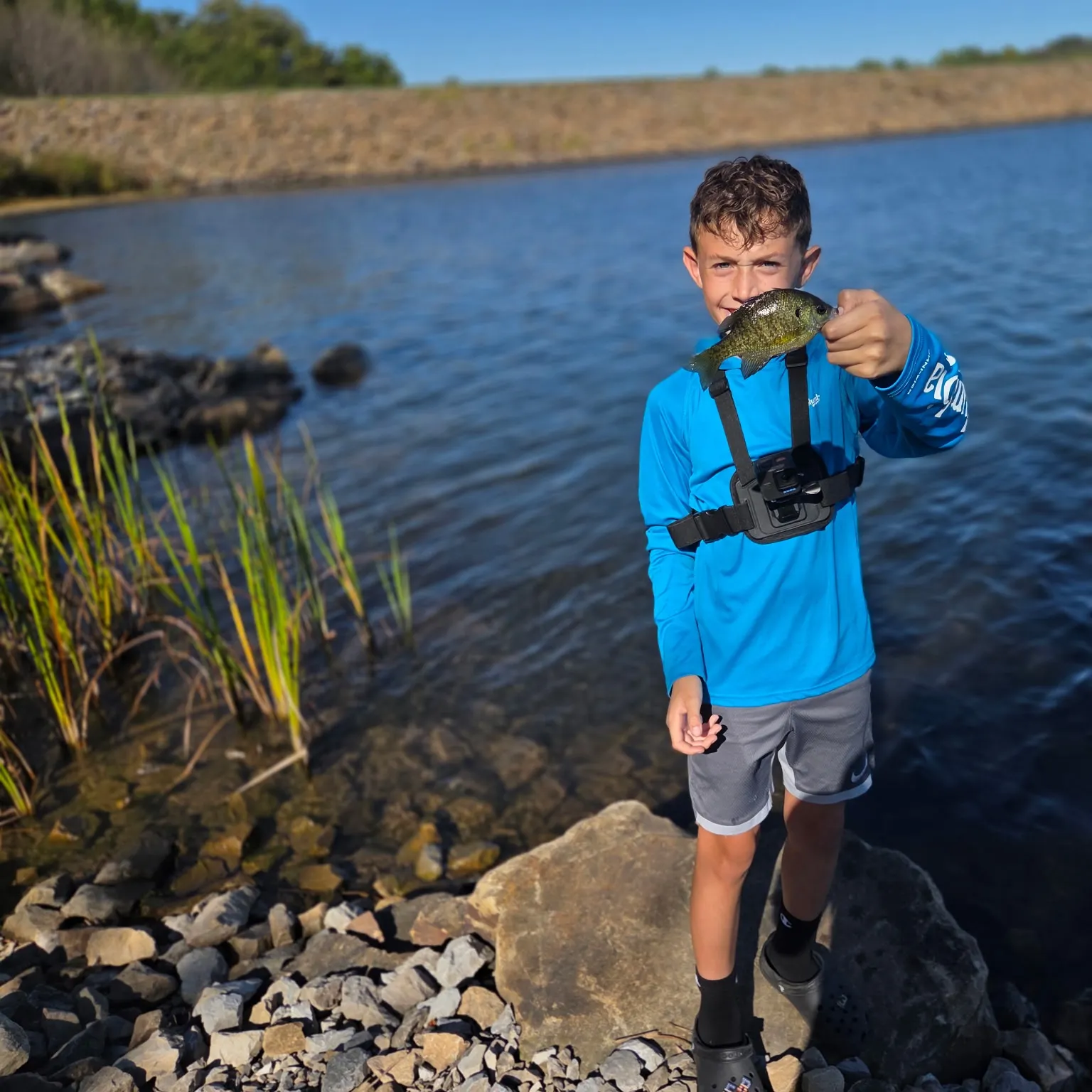 The most recent Wargill hybrid catches on Fishbrain