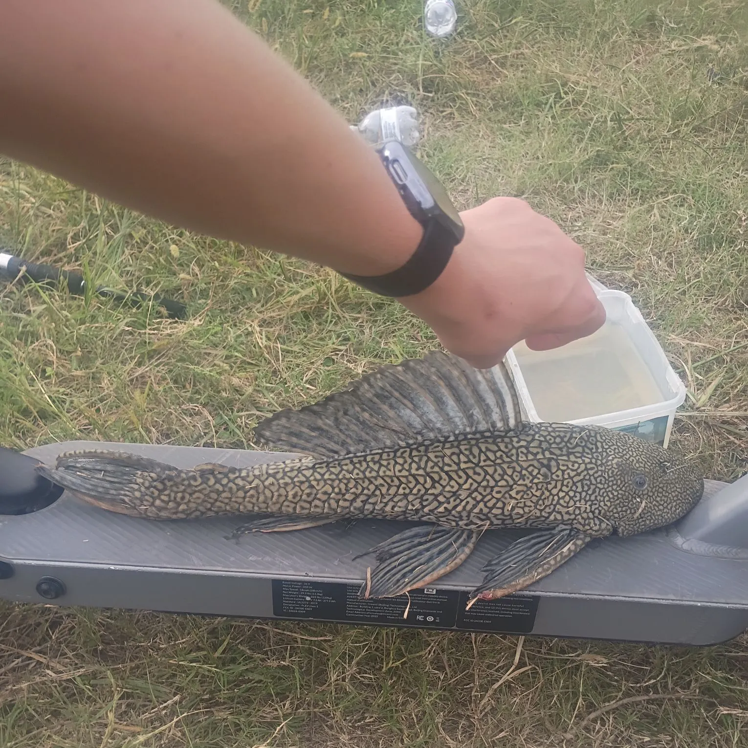 catch