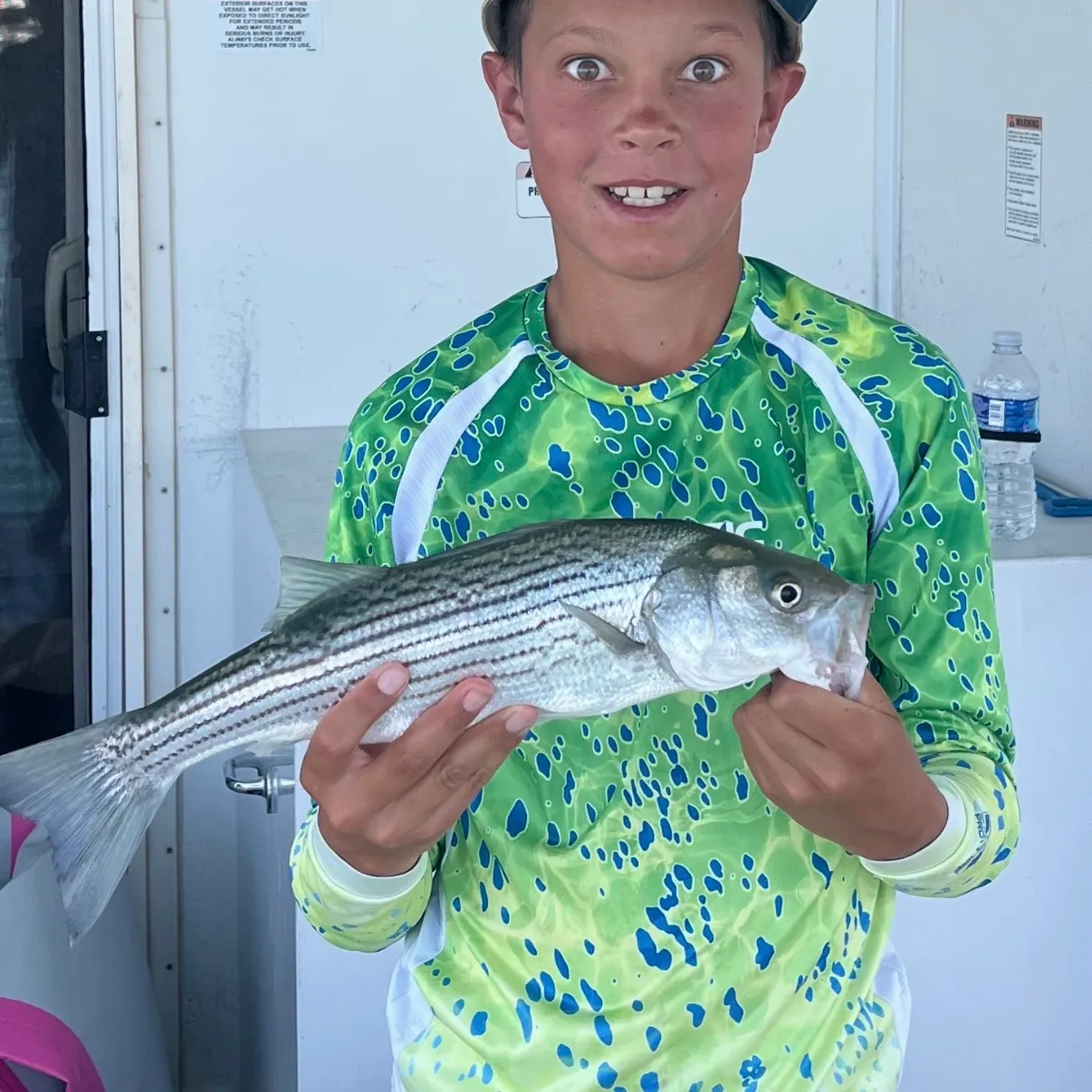 Striped bass caught on Fishbrain