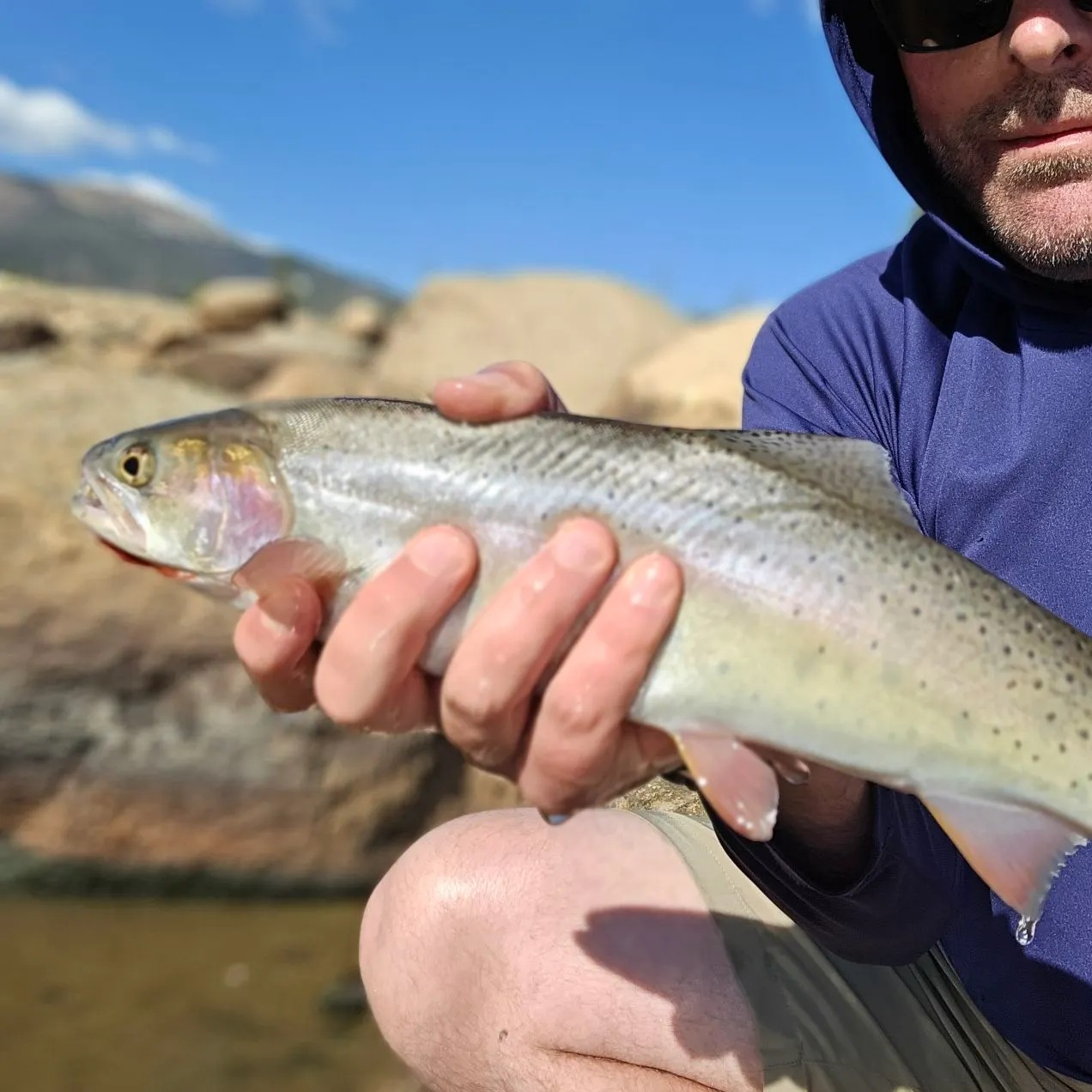 Cutthroat trout caught on Fishbrain