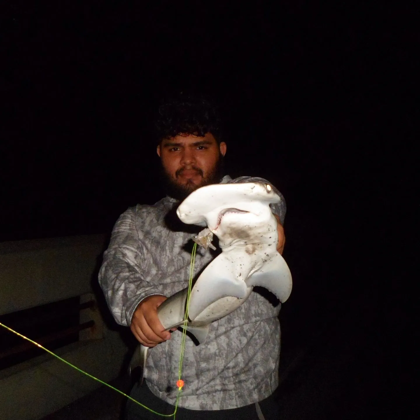 Bonnethead shark caught on Fishbrain