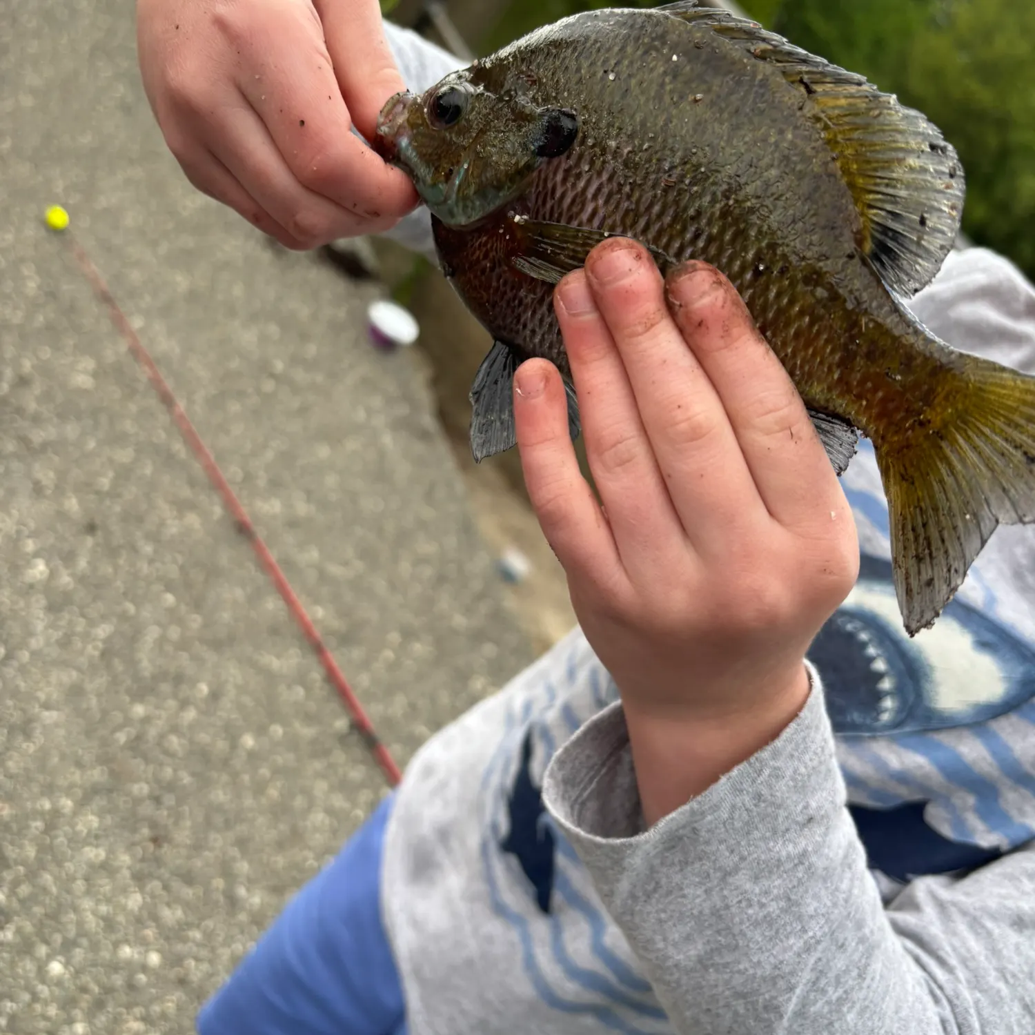 catch