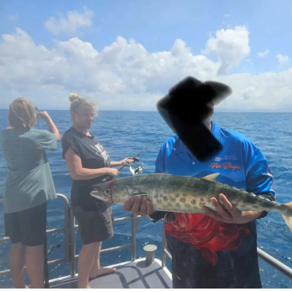 The most recent Australian spotted mackerel catches on Fishbrain