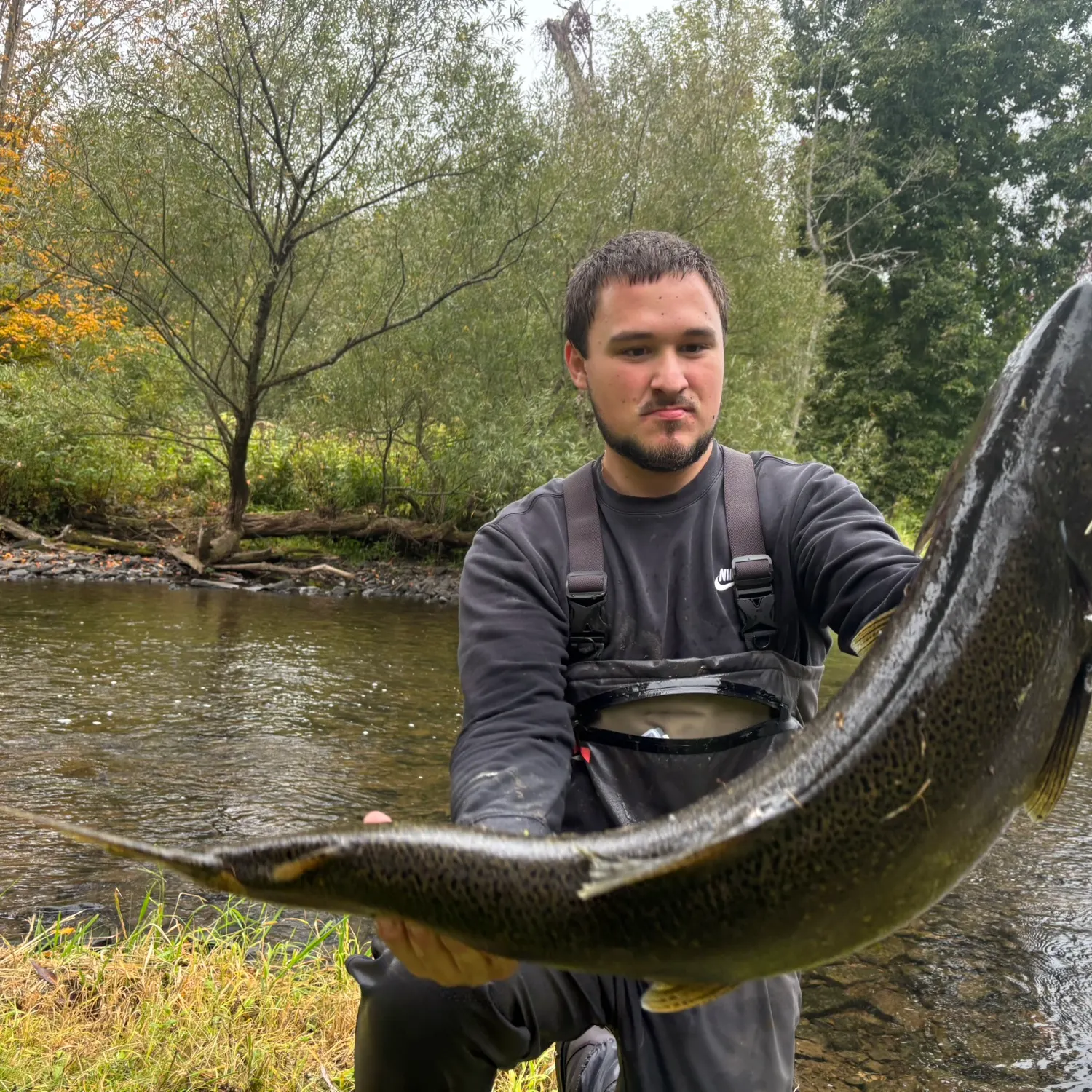Chinook salmon caught on Fishbrain