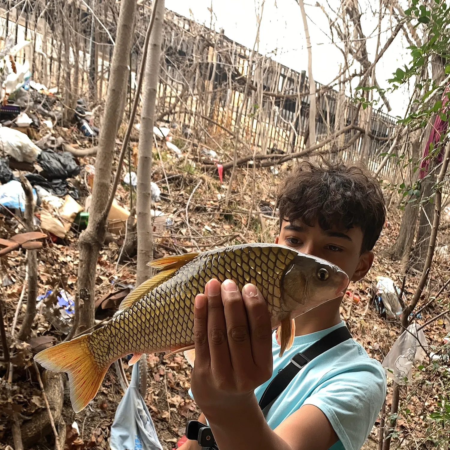 The most recent River carpsucker catches on Fishbrain