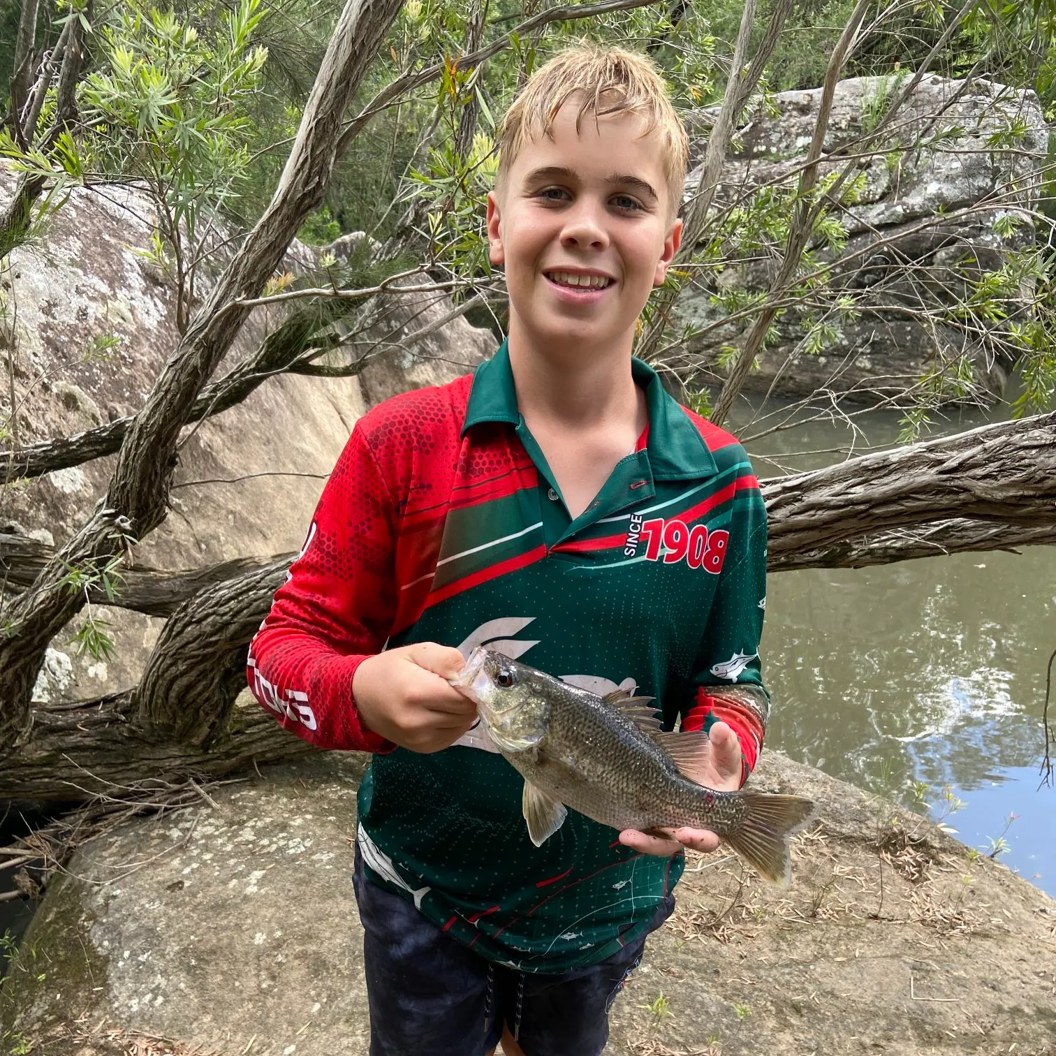 The most recent Australian bass catches on Fishbrain