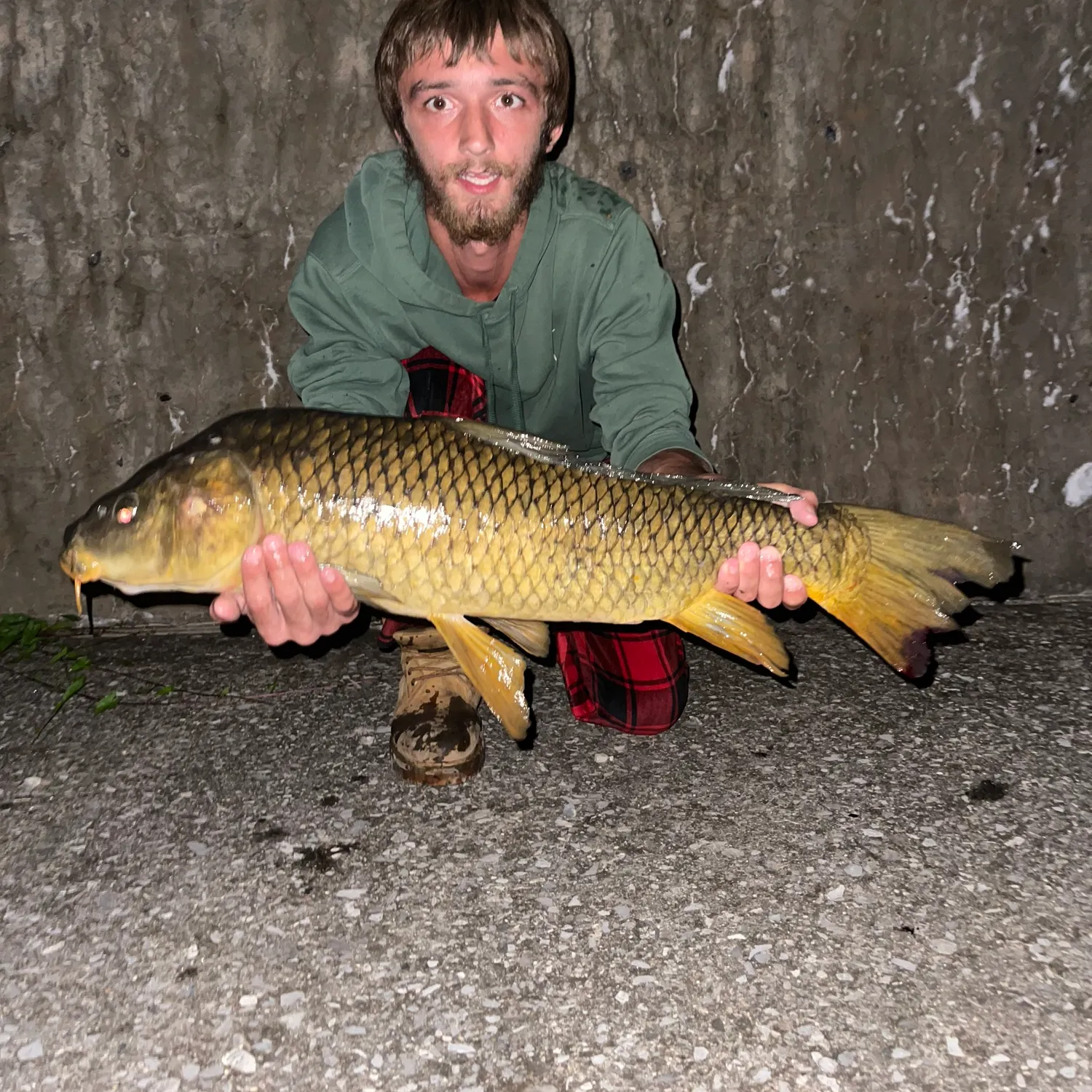 Common carp caught on Fishbrain