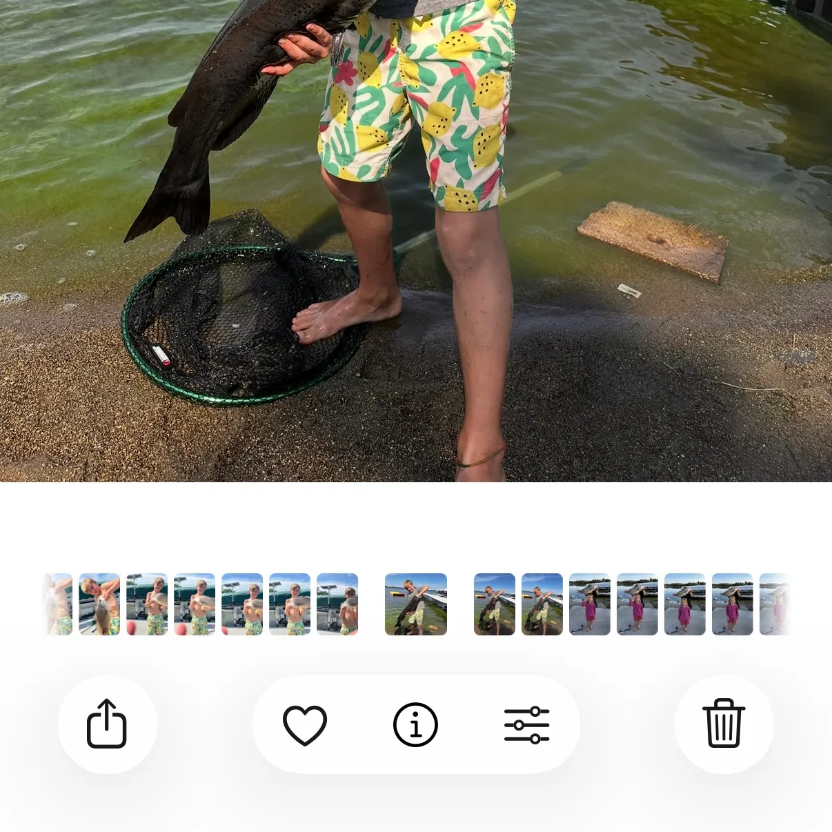 Channel catfish caught on Fishbrain