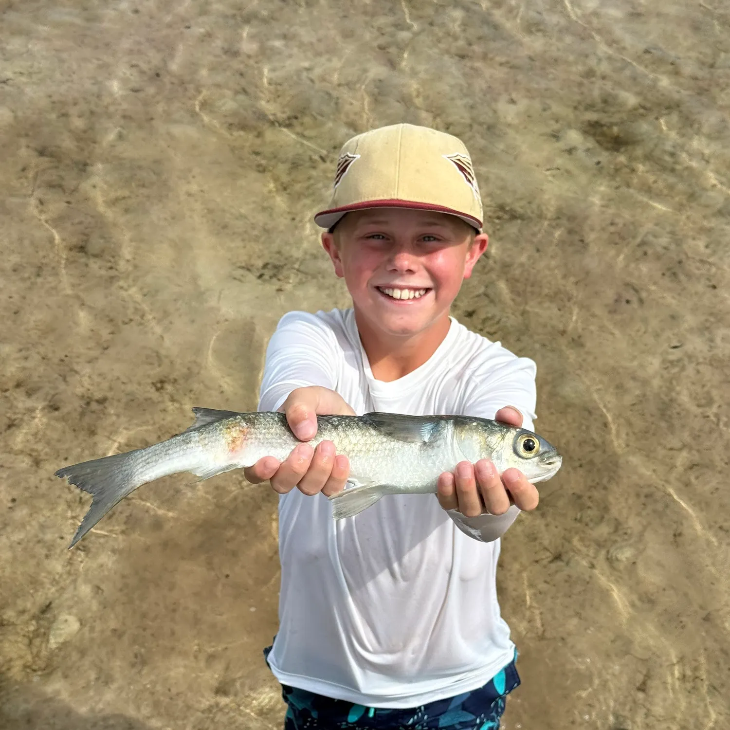 Striped mullet caught on Fishbrain
