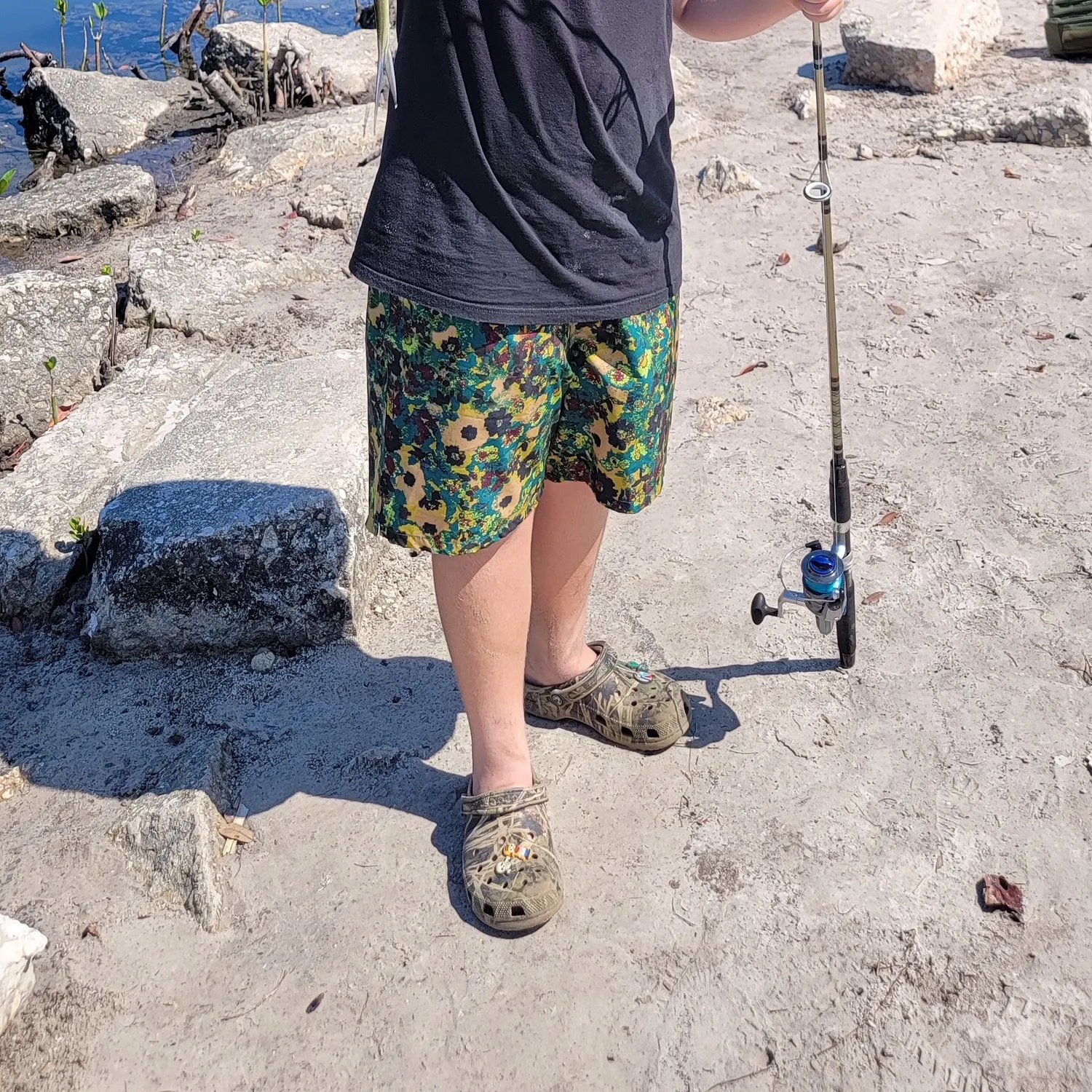 The most recent Ladyfish catches on Fishbrain