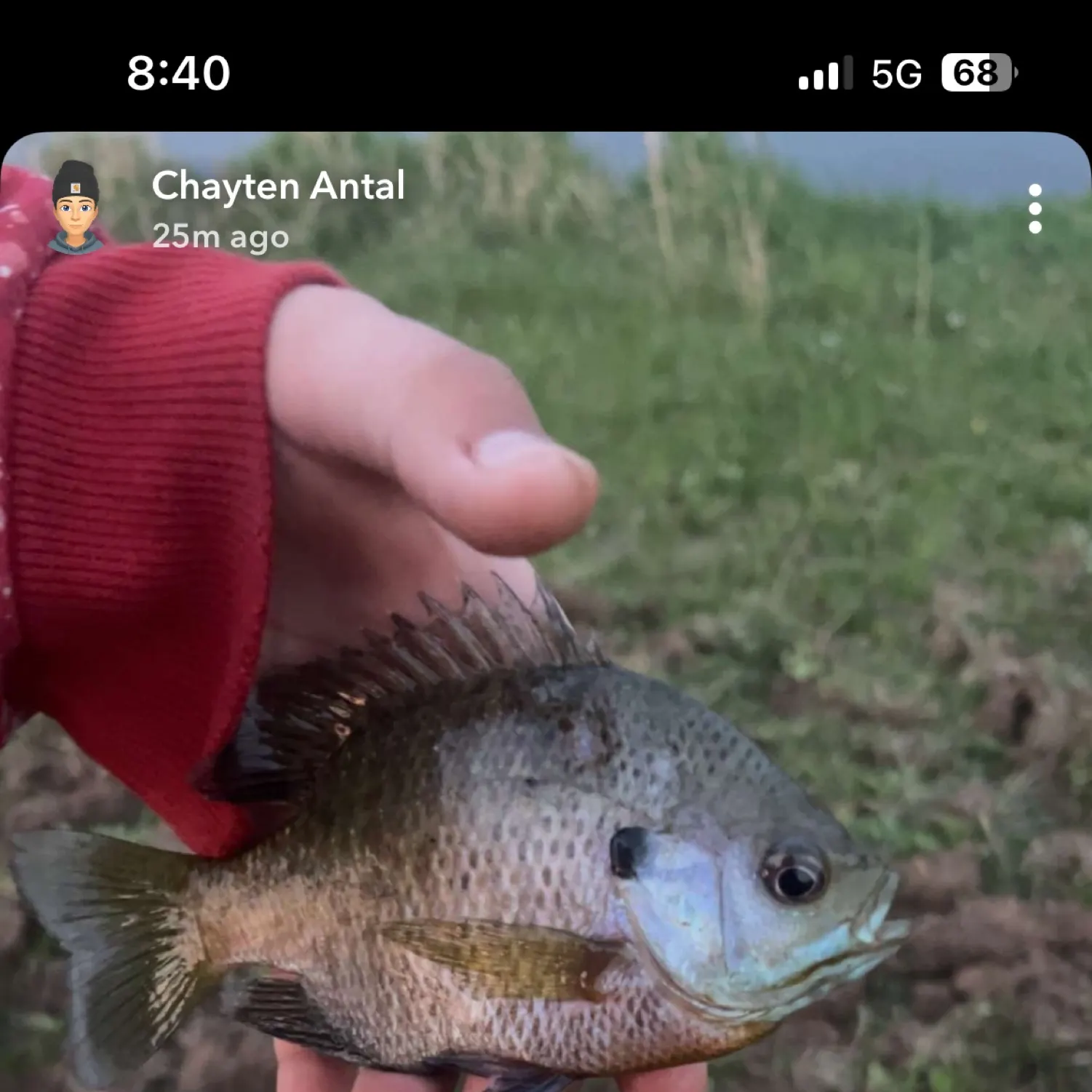recently logged catches