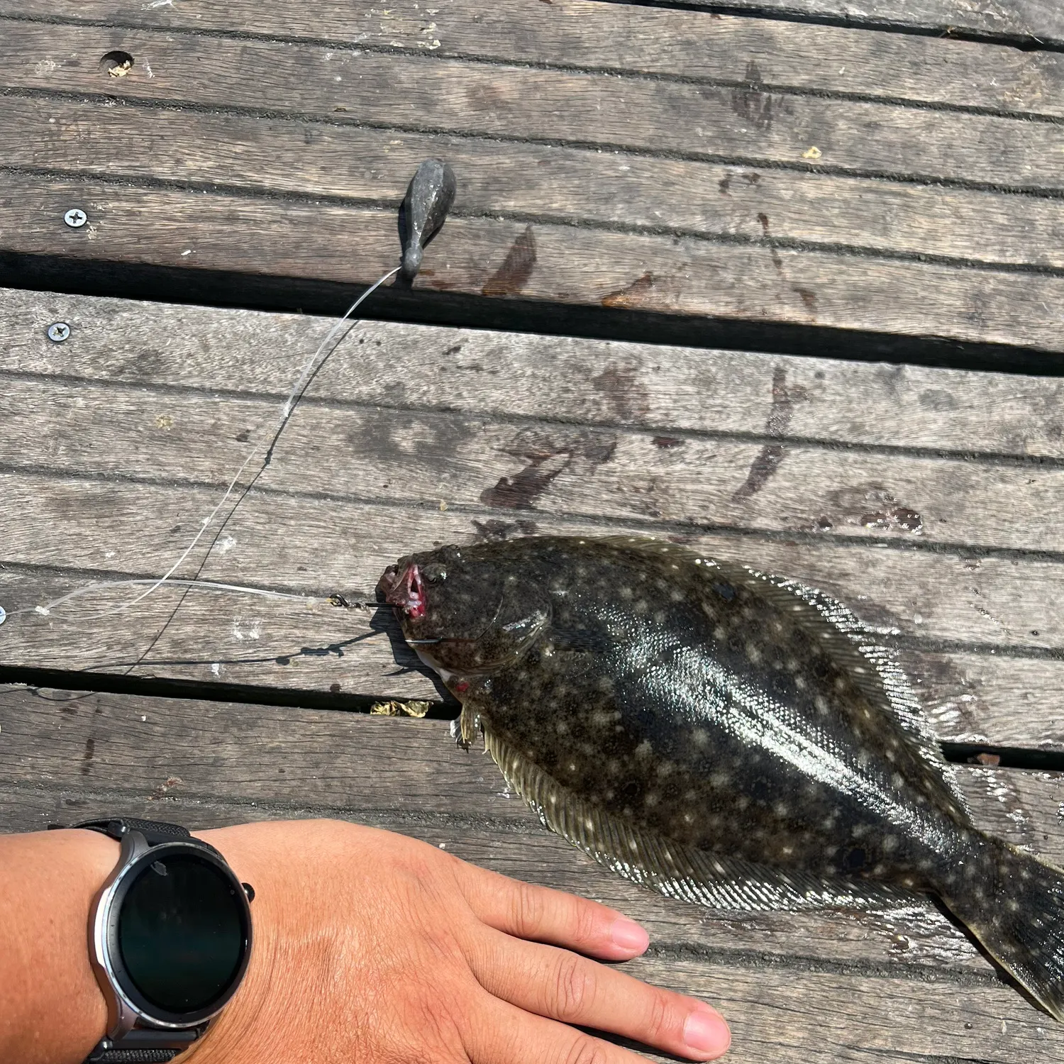 catch