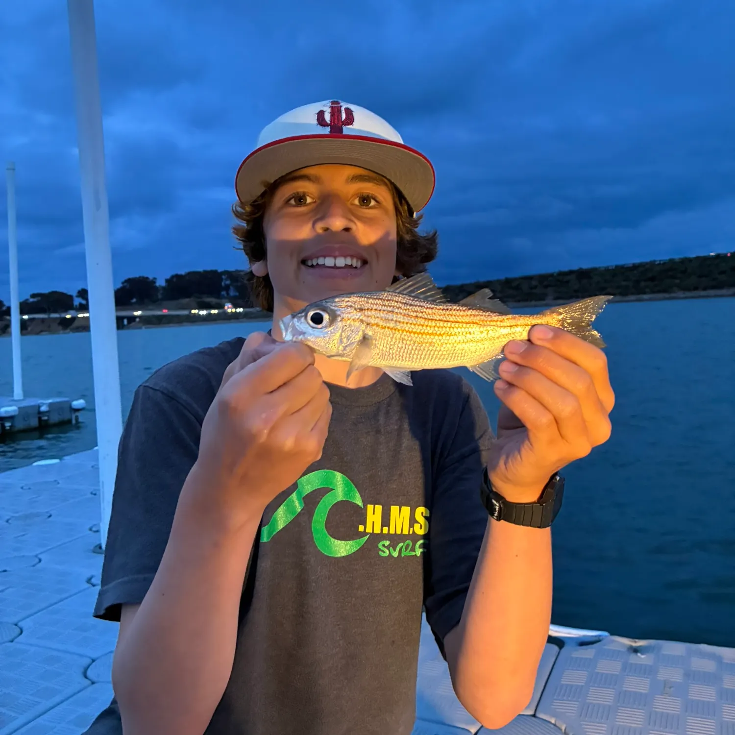 The most recent Salema porgy catches on Fishbrain