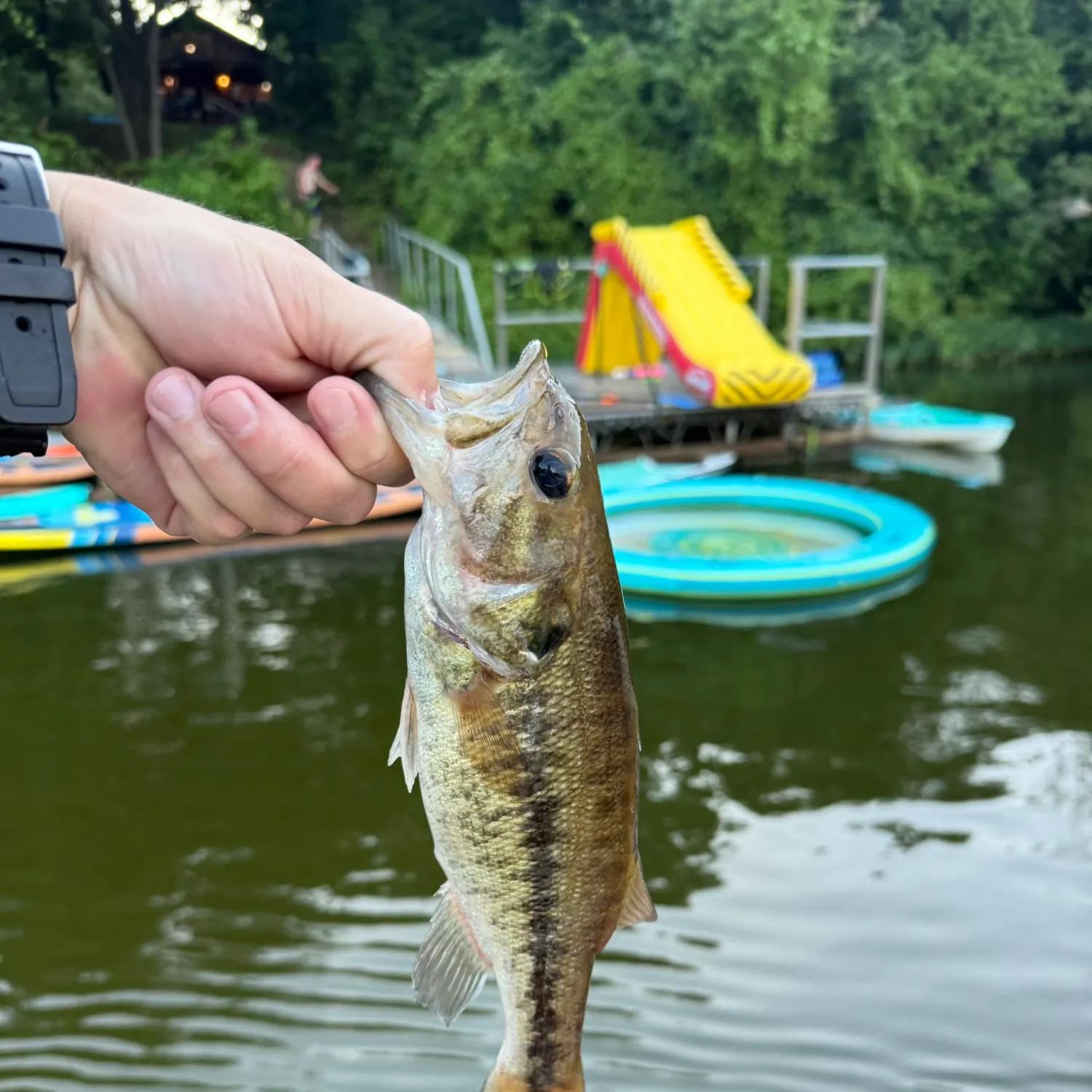 catch