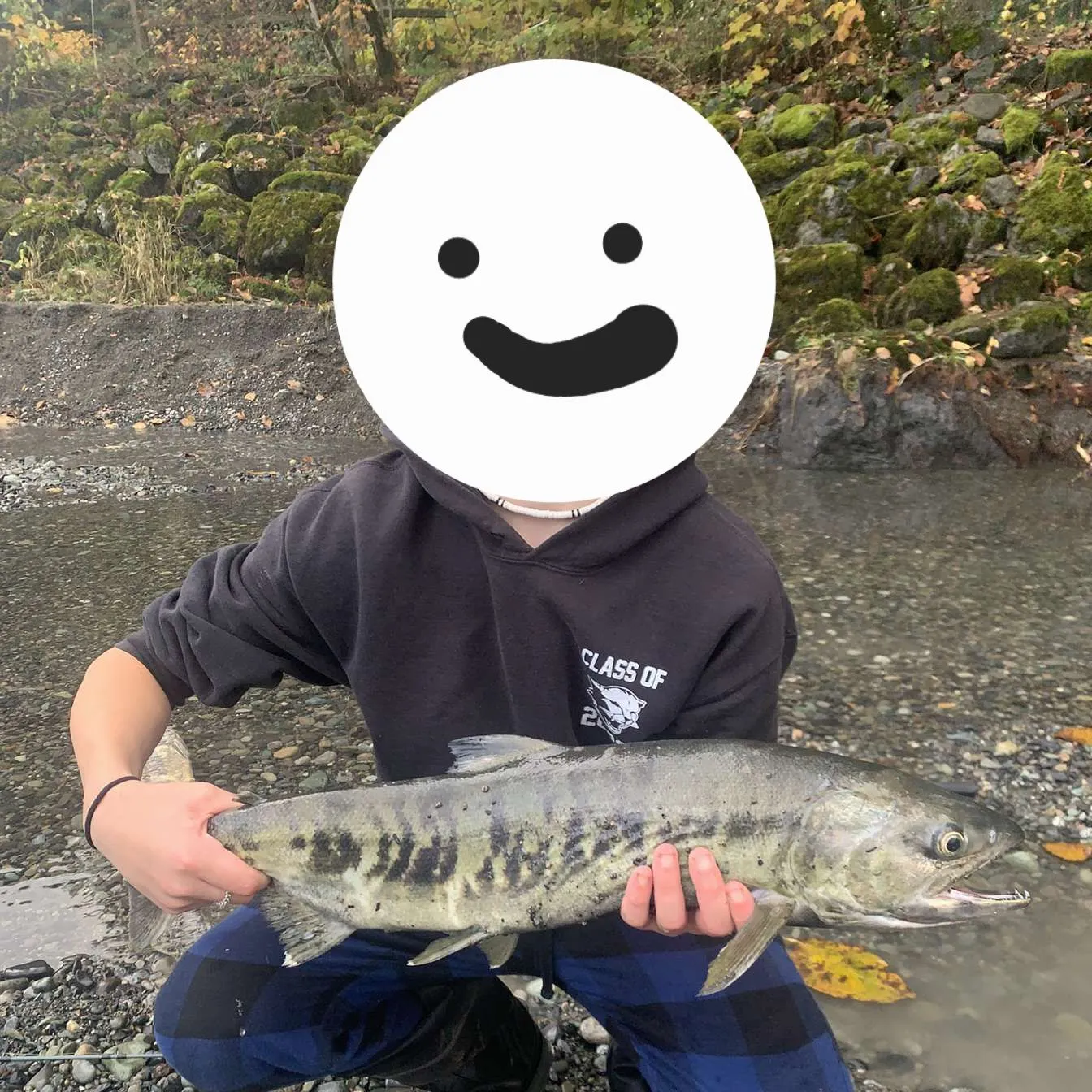 The most recent Chum salmon catches on Fishbrain
