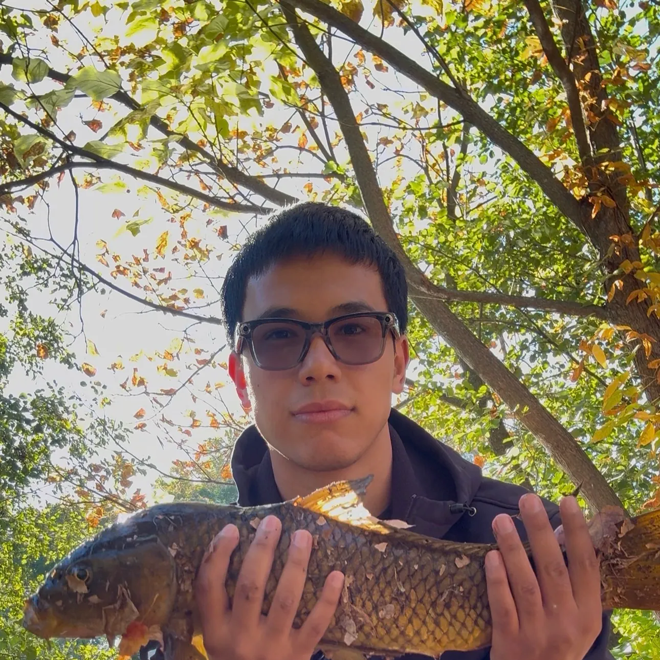 Common carp caught on Fishbrain