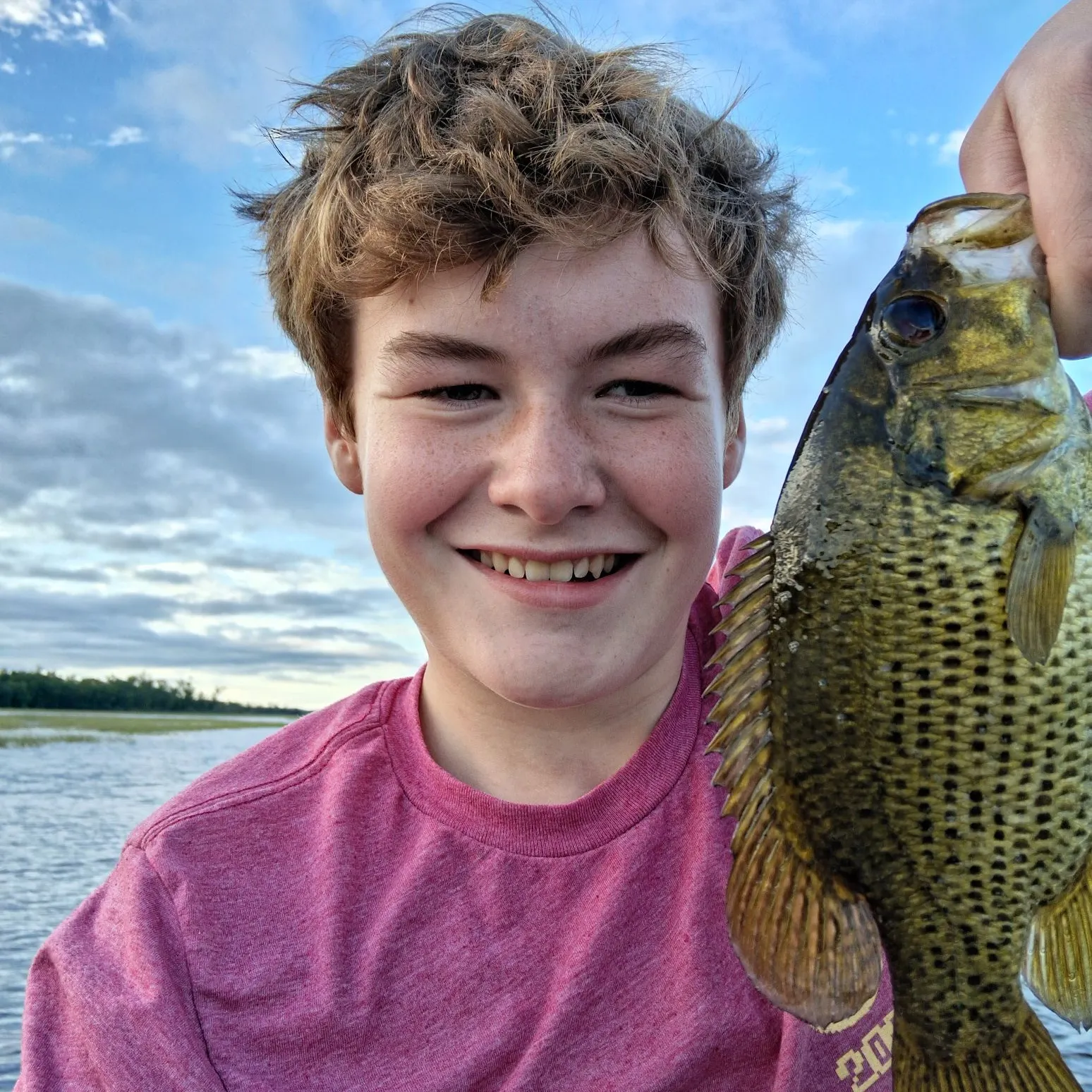 Rock bass caught on Fishbrain