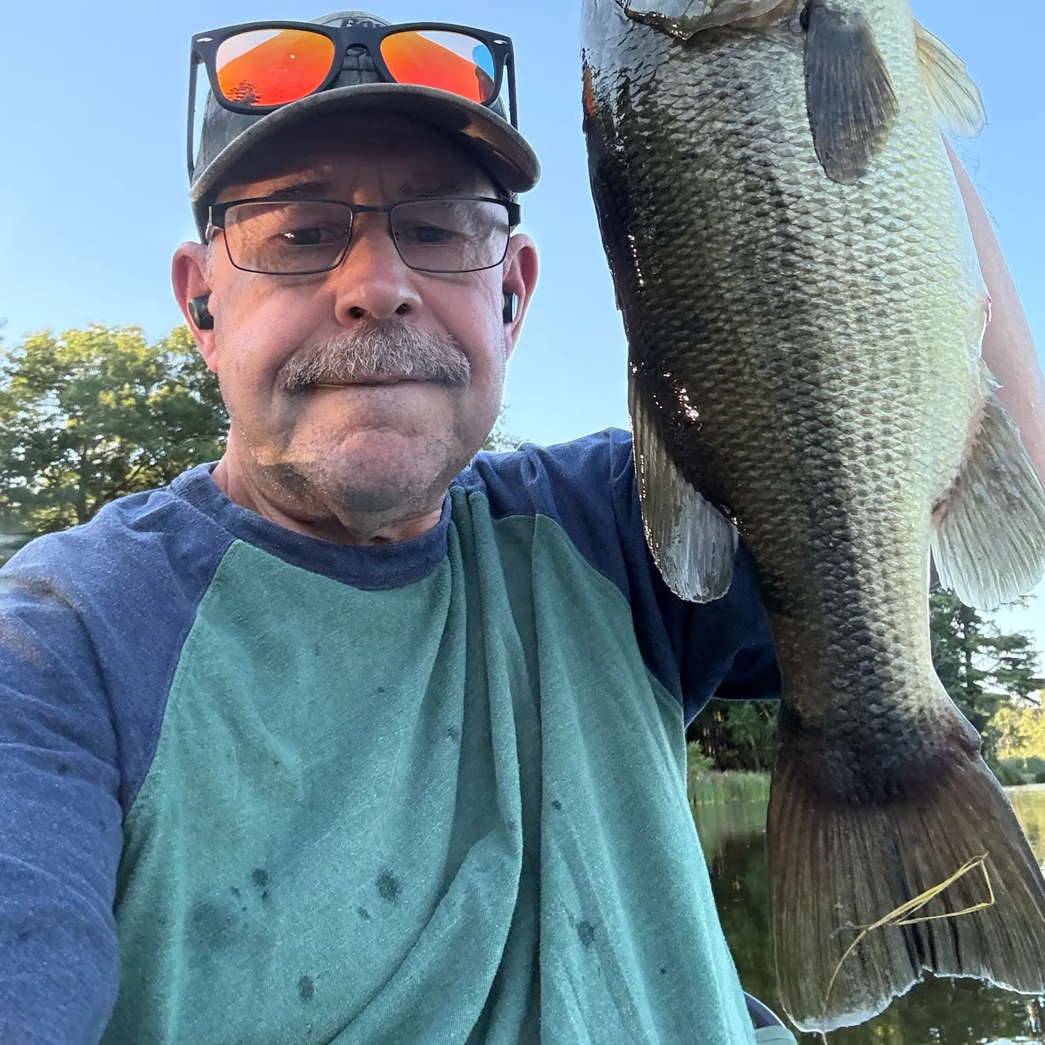 Largemouth bass caught on Fishbrain