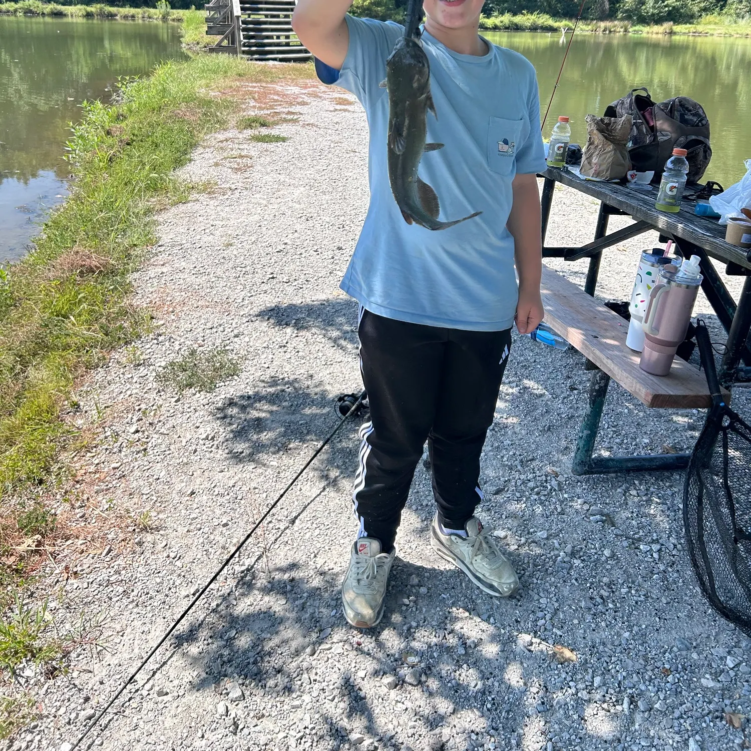 Channel catfish caught on Fishbrain