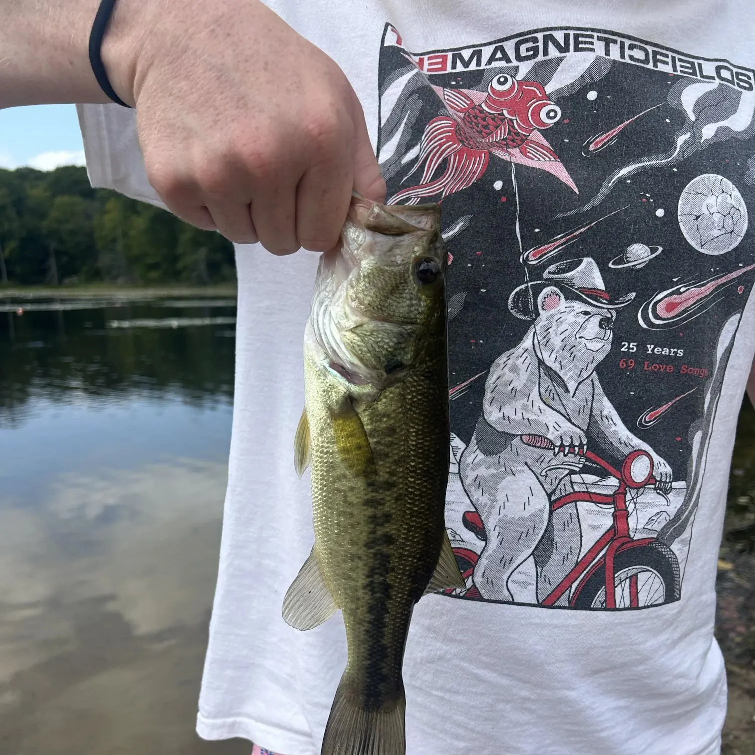 Largemouth bass caught on Fishbrain