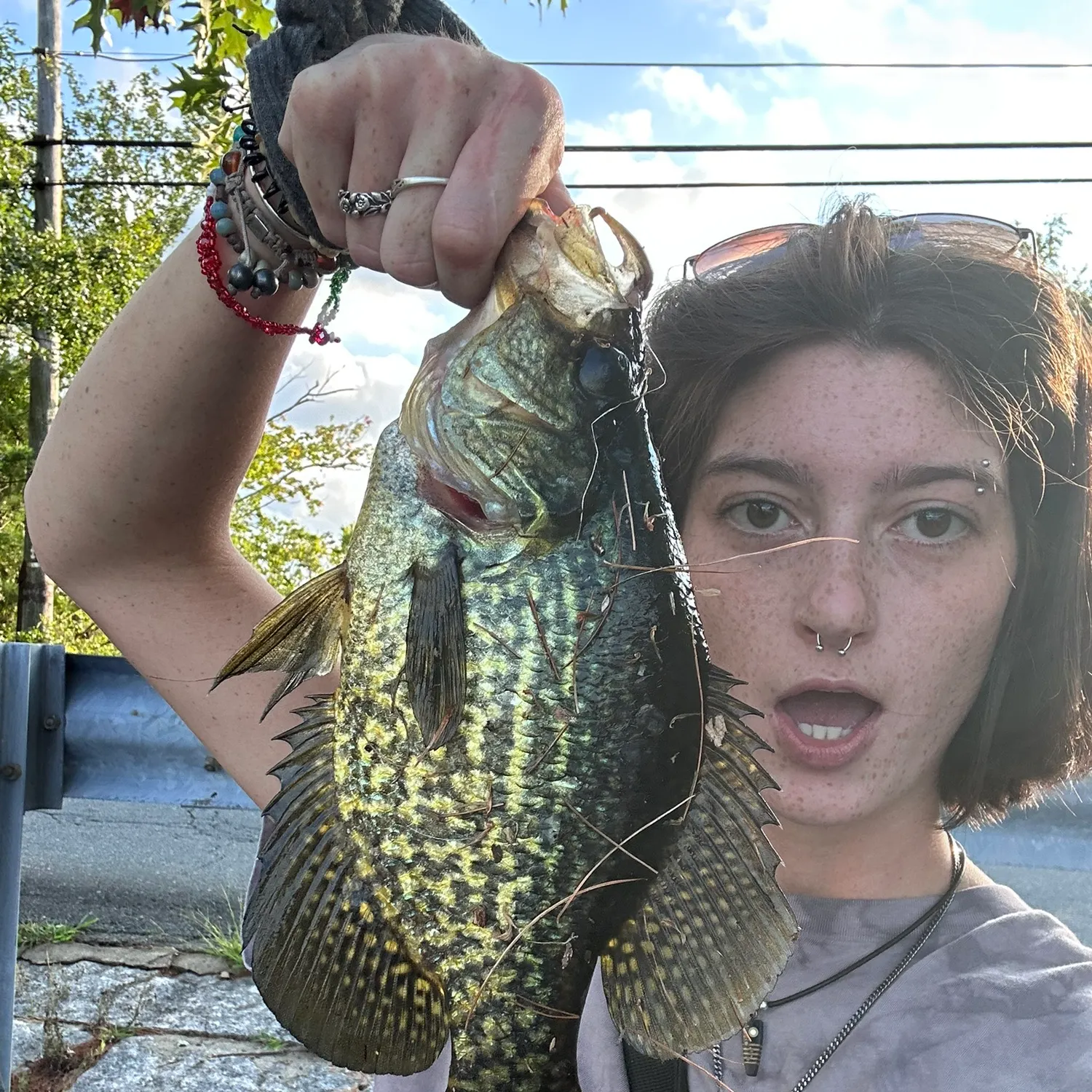 Black crappie caught on Fishbrain