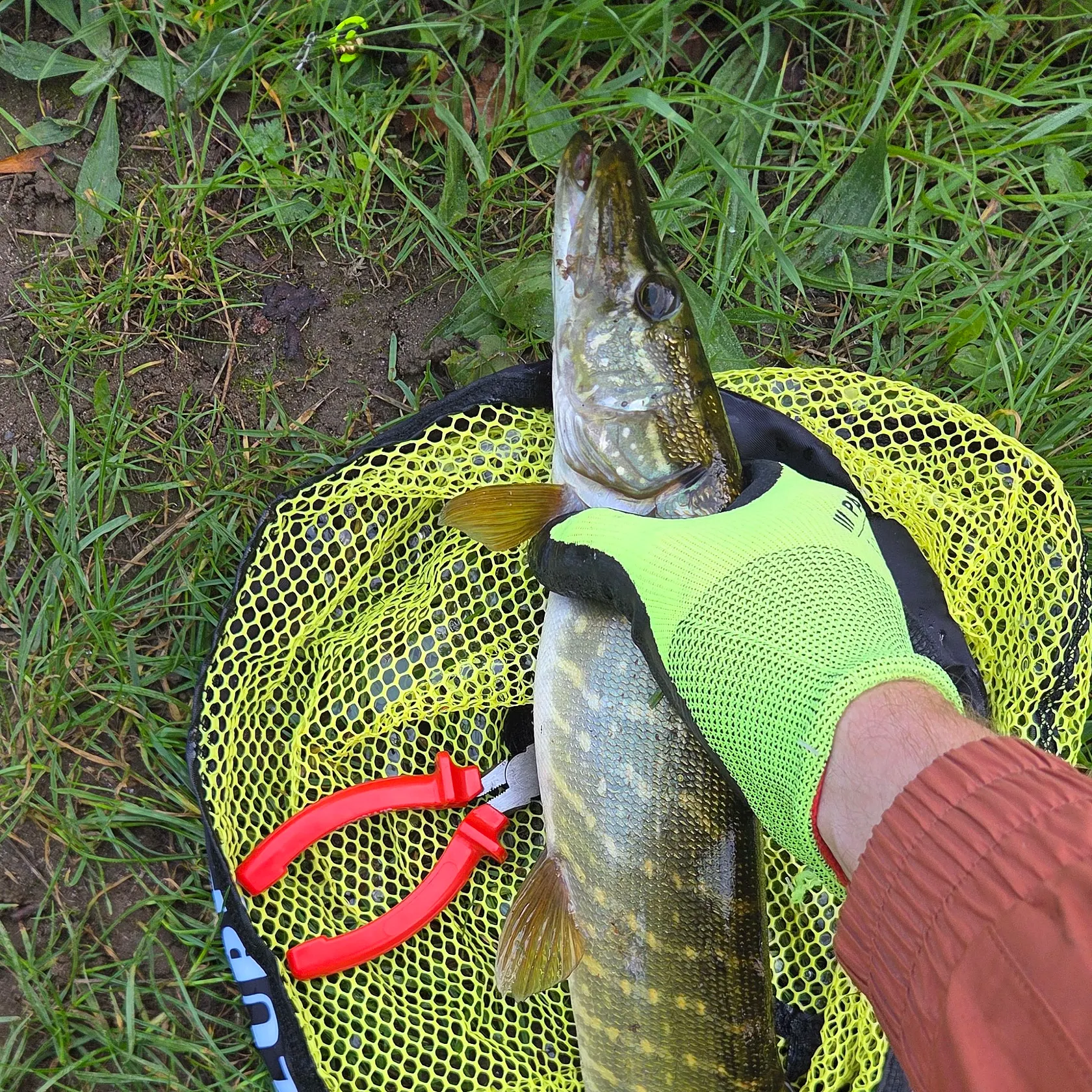 catch