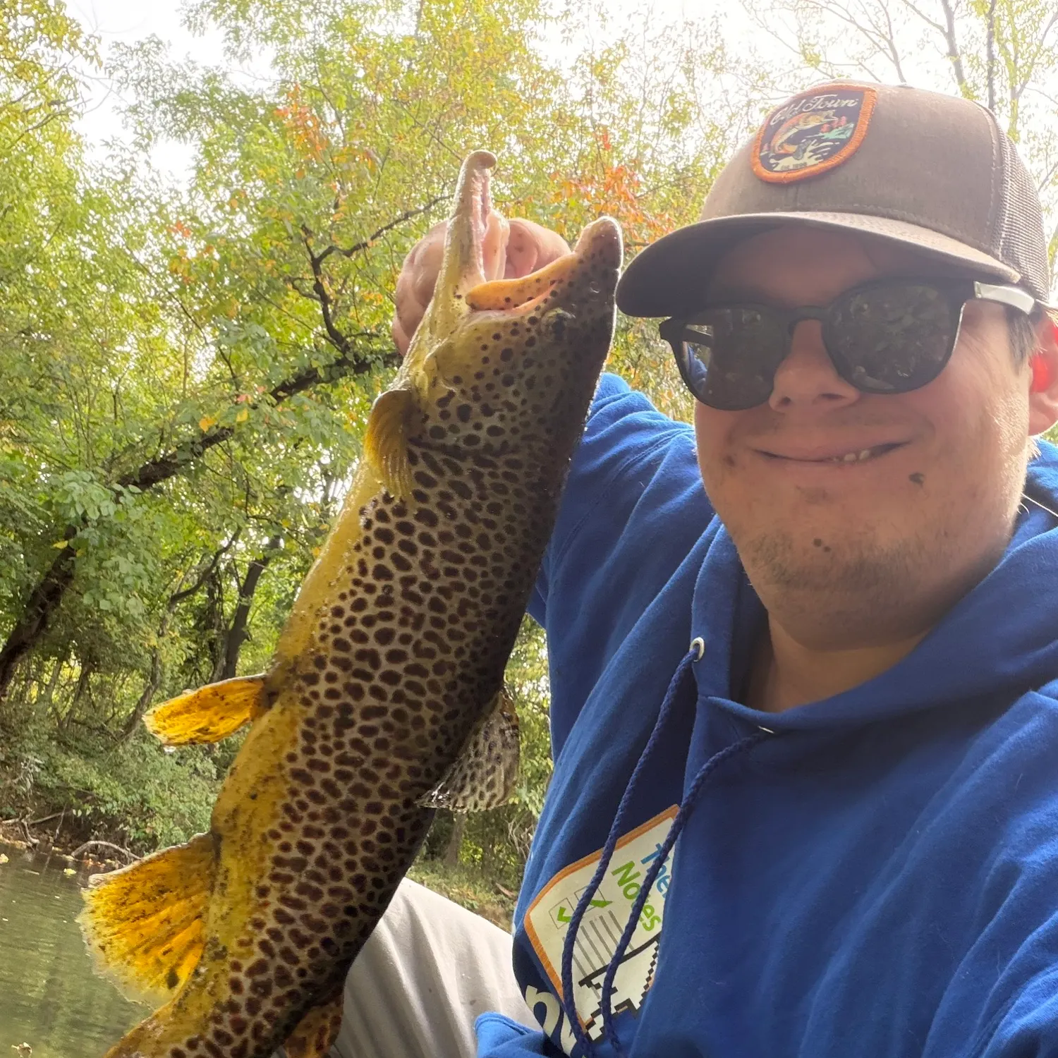 Brown trout caught on Fishbrain