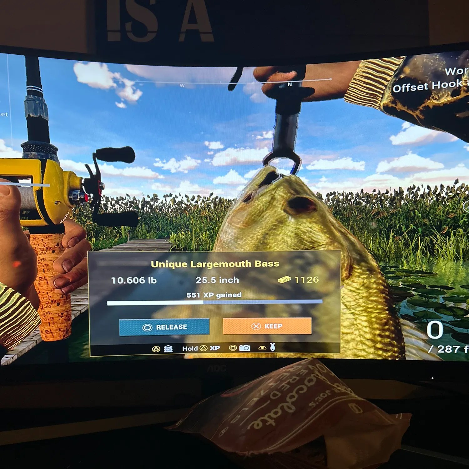 recently logged catches