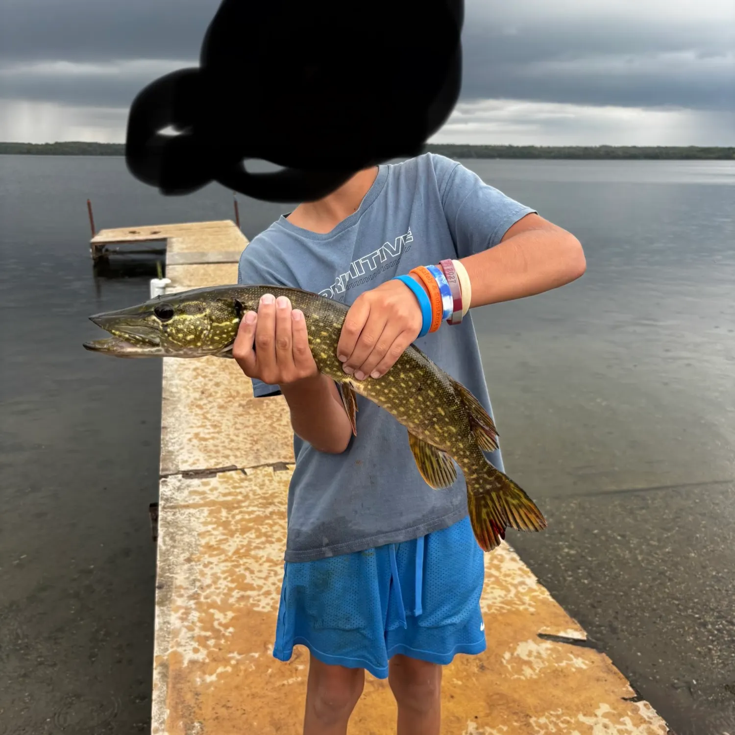 Northern pike caught on Fishbrain
