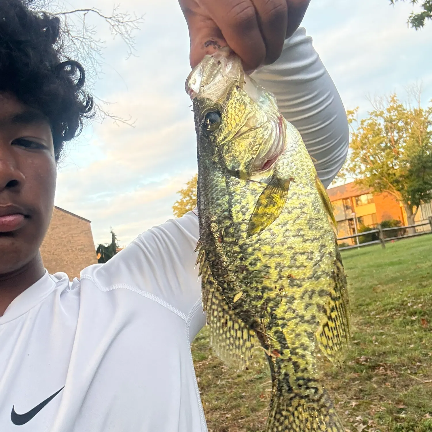 Black crappie caught on Fishbrain