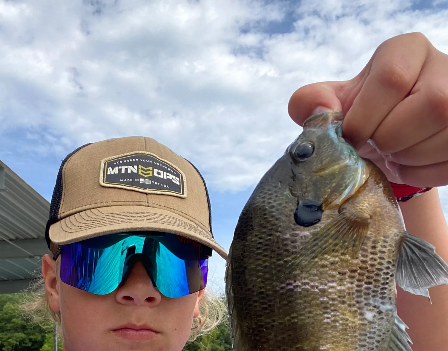 Bluegill