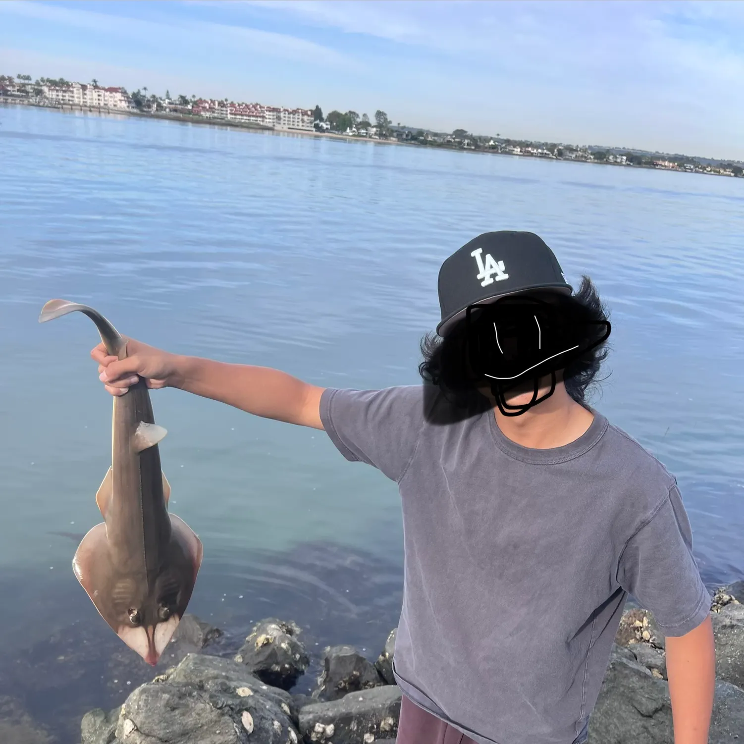 The most recent Pacific shovelnose guitarfish catches on Fishbrain