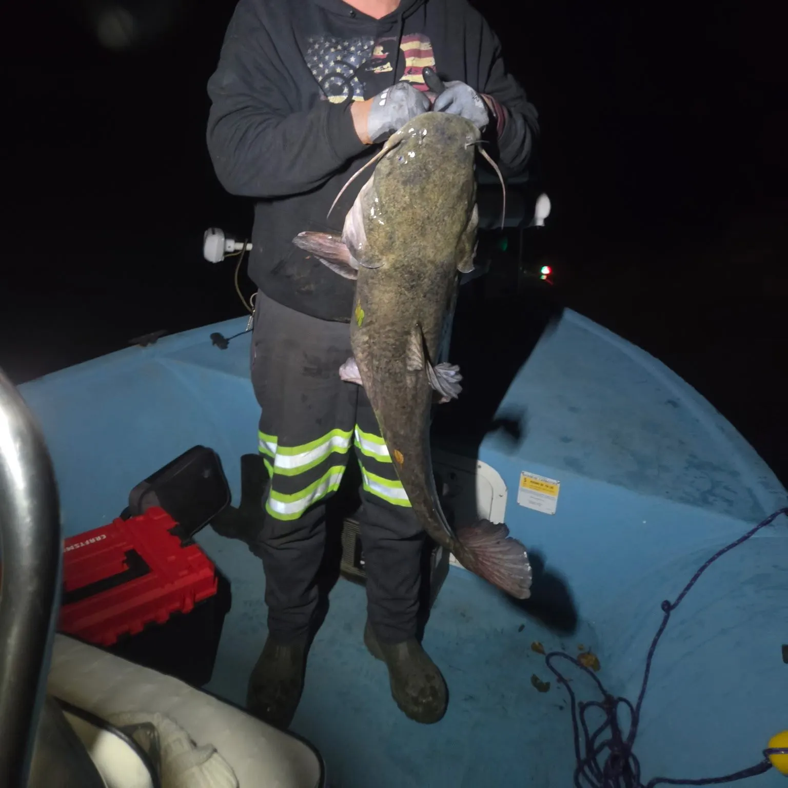 The most recent Flathead catfish catches on Fishbrain