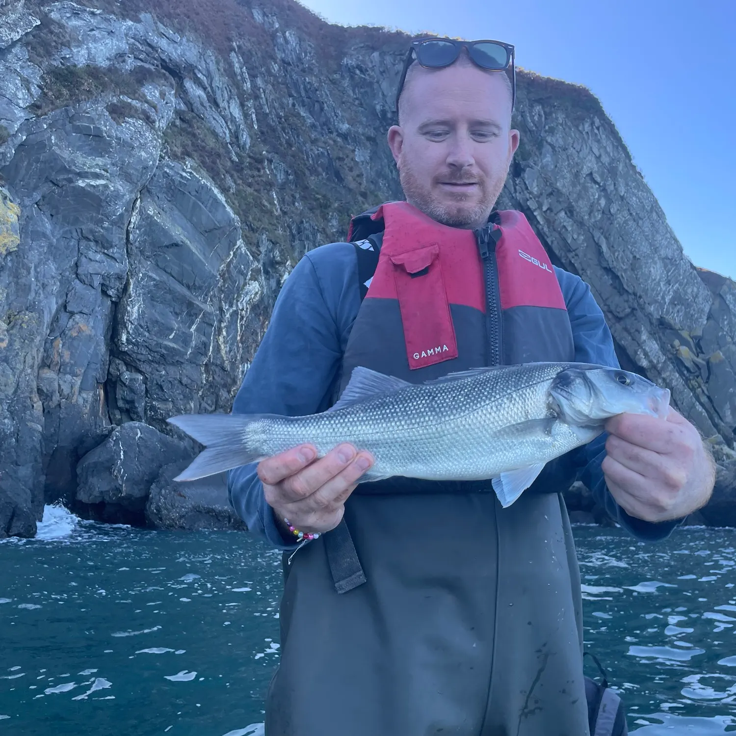 European seabass caught on Fishbrain