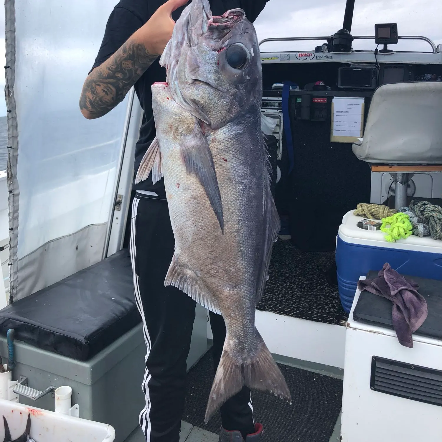 recently logged catches