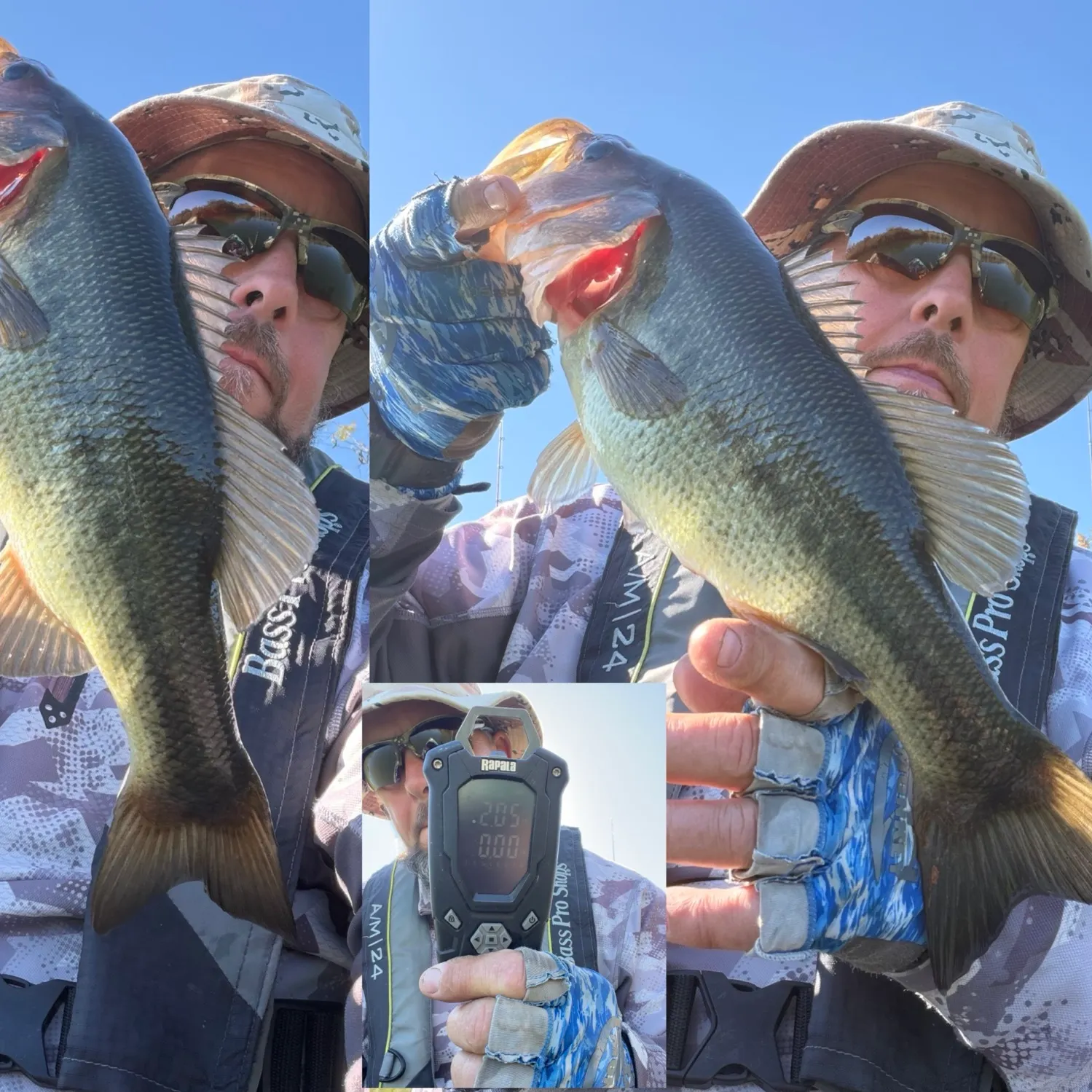 Largemouth bass caught on Fishbrain
