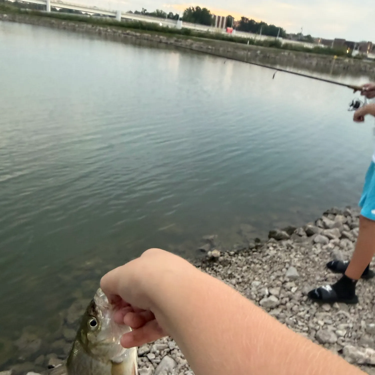 catch