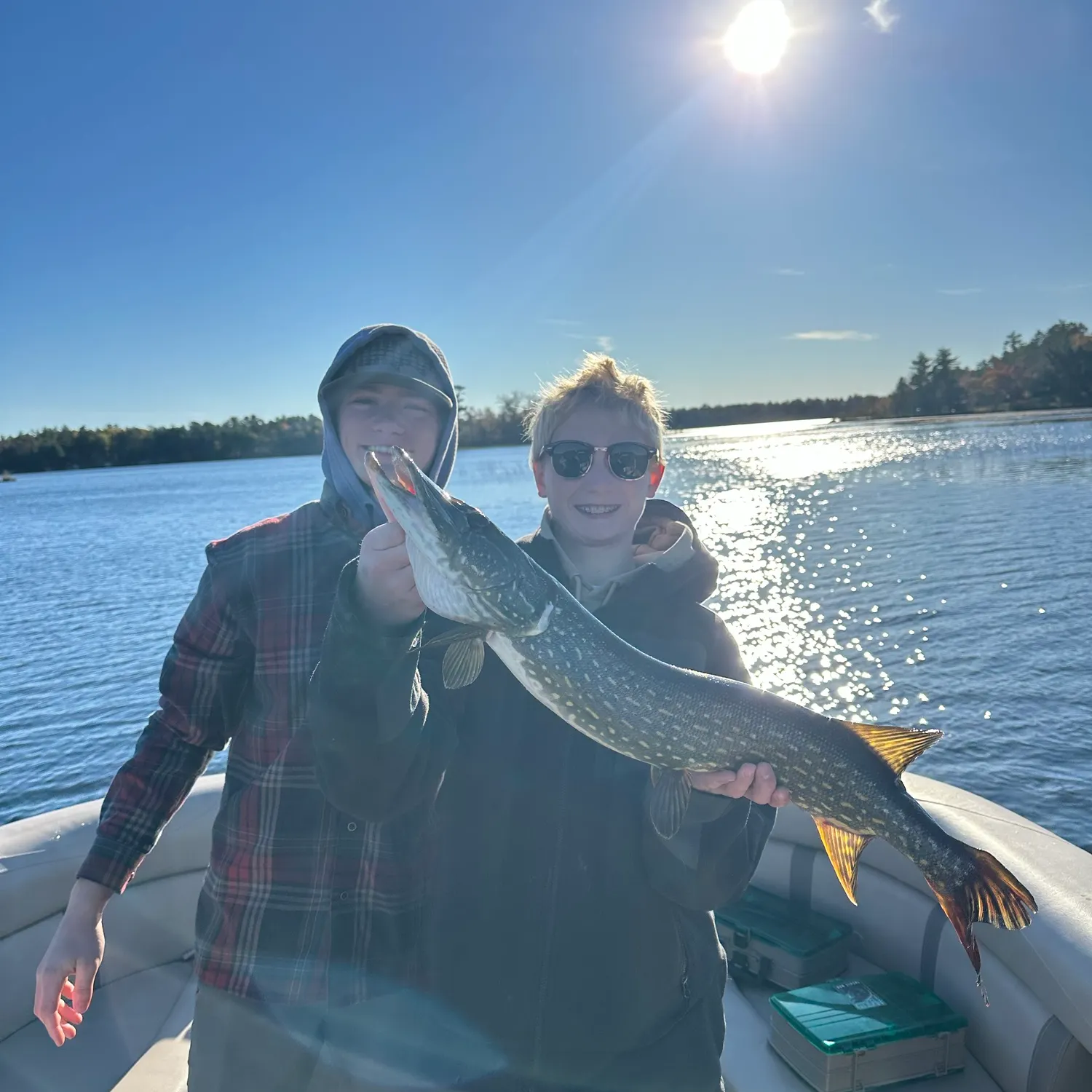 Northern pike caught on Fishbrain