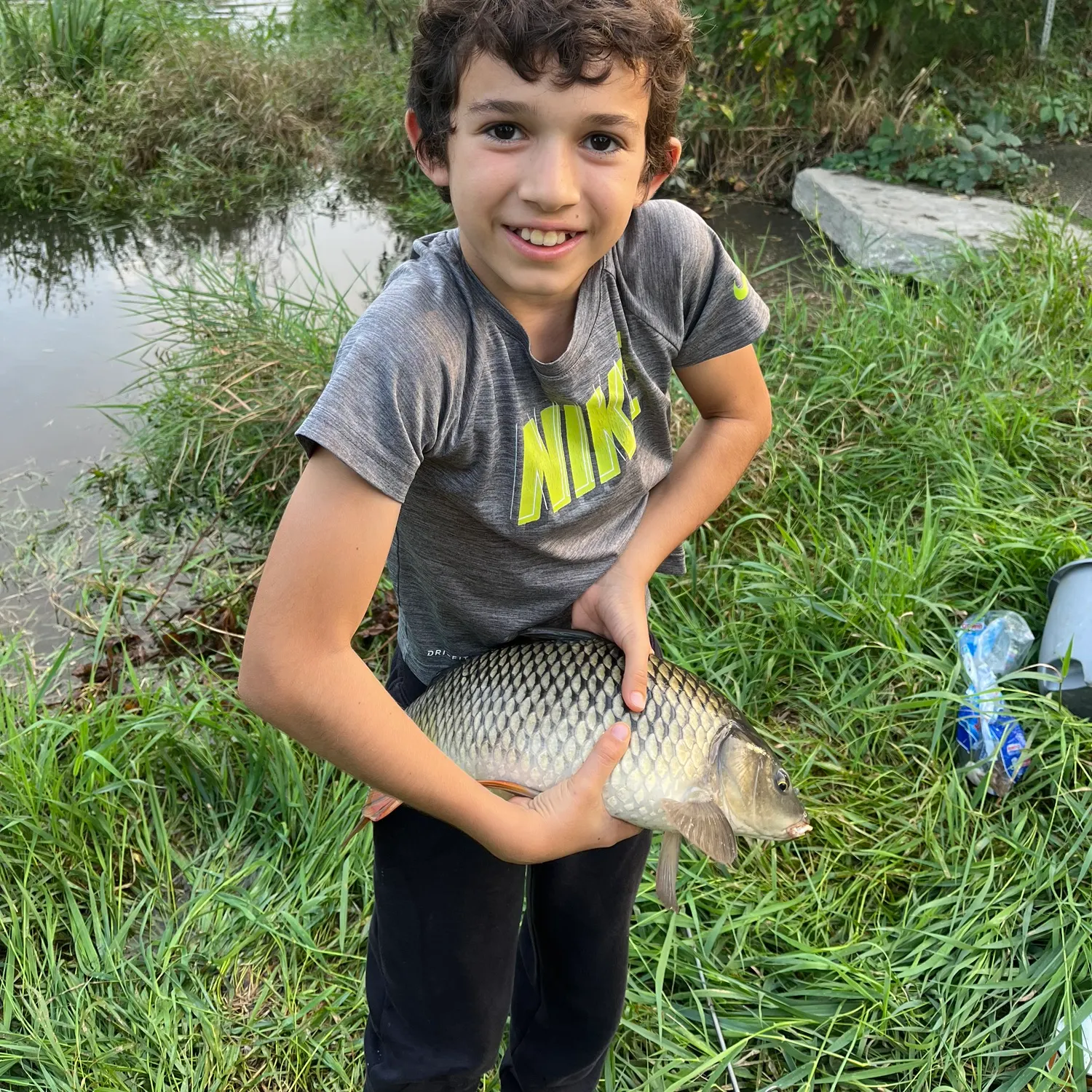 Common carp caught on Fishbrain