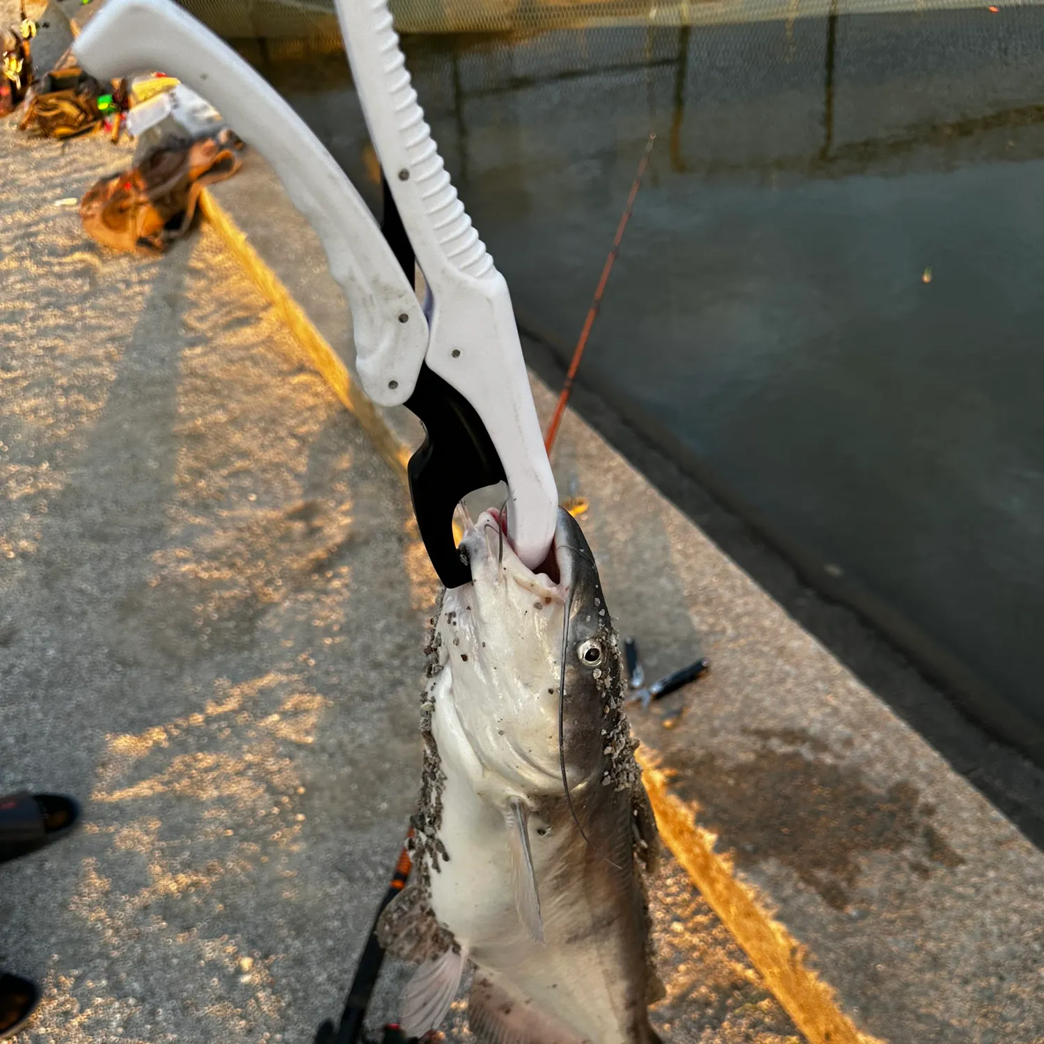 catch