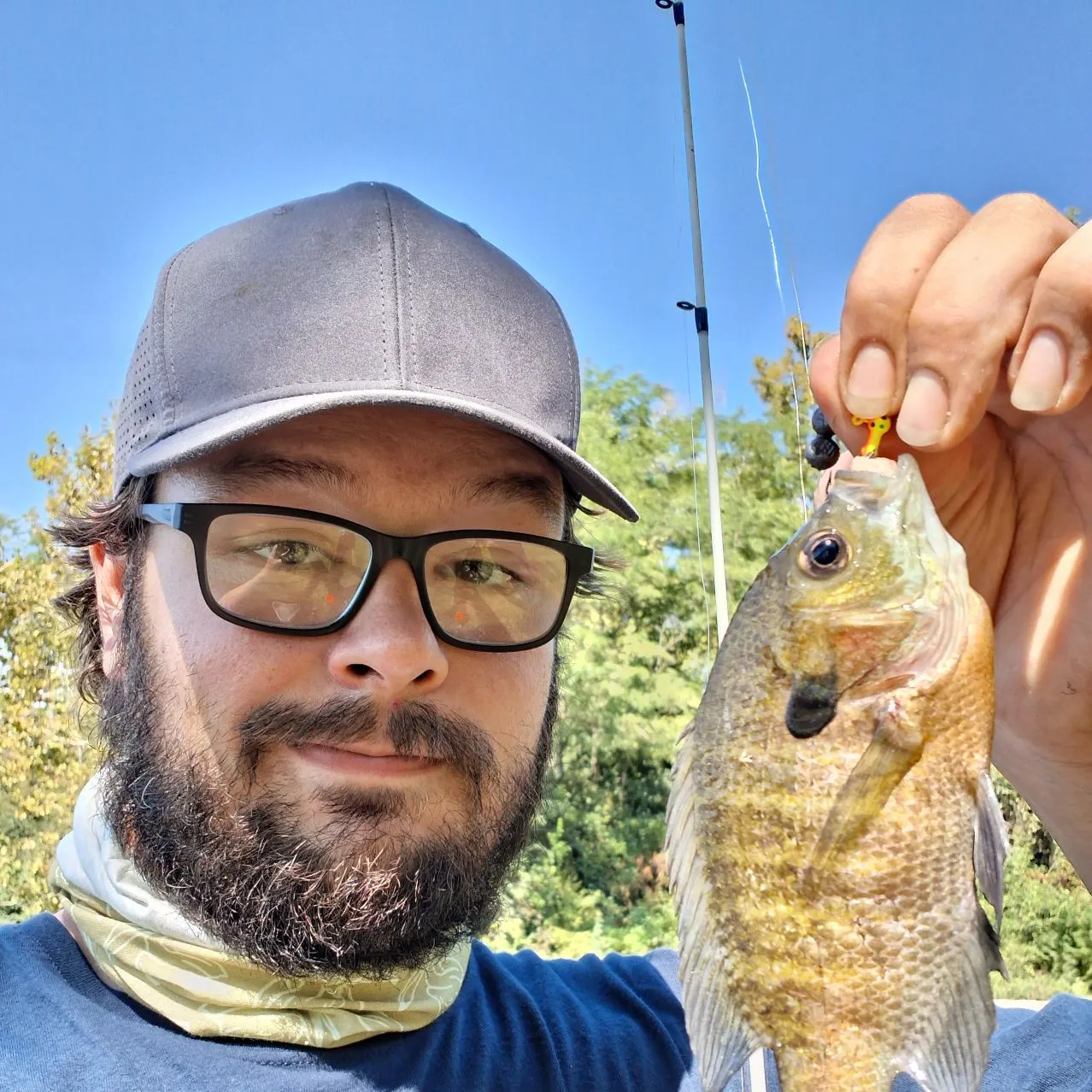 Bluegill caught on Fishbrain